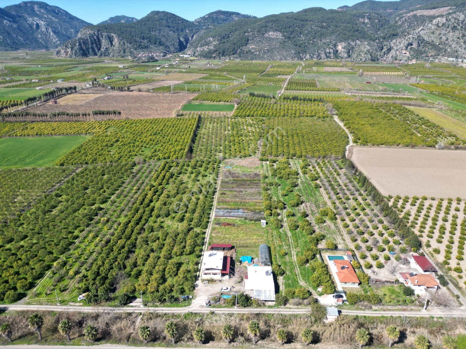 Muğla Ortaca Akıncı Mahallesi'nde Satılık İki Köy Evi Ve 7700 M² - Görsel 9