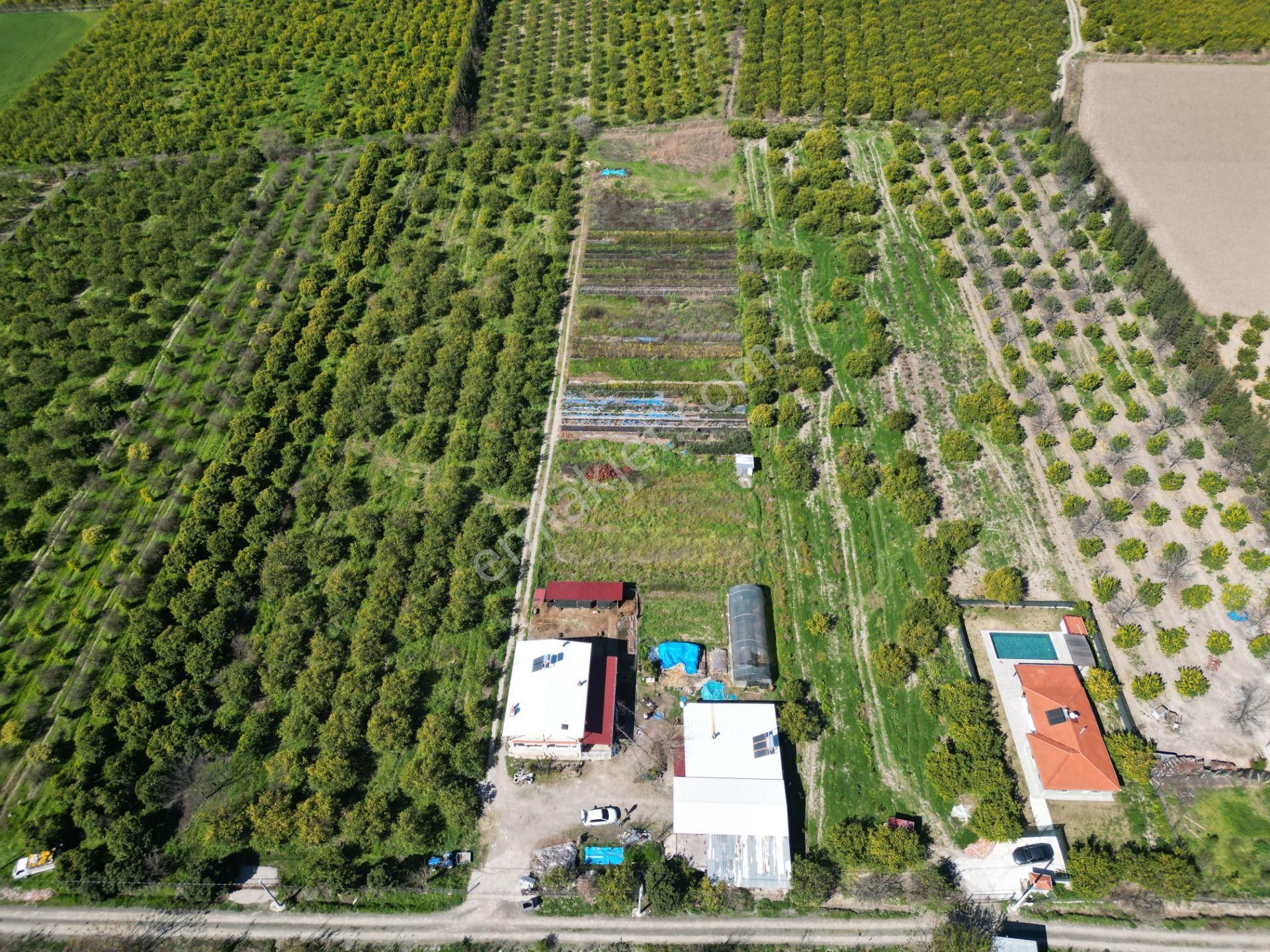 Muğla Ortaca Akıncı Mahallesi'nde Satılık İki Köy Evi Ve 7700 M² - Görsel 8