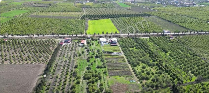 Muğla Ortaca Akıncı Mahallesi'nde Satılık İki Köy Evi Ve 7700 M² - Görsel 4