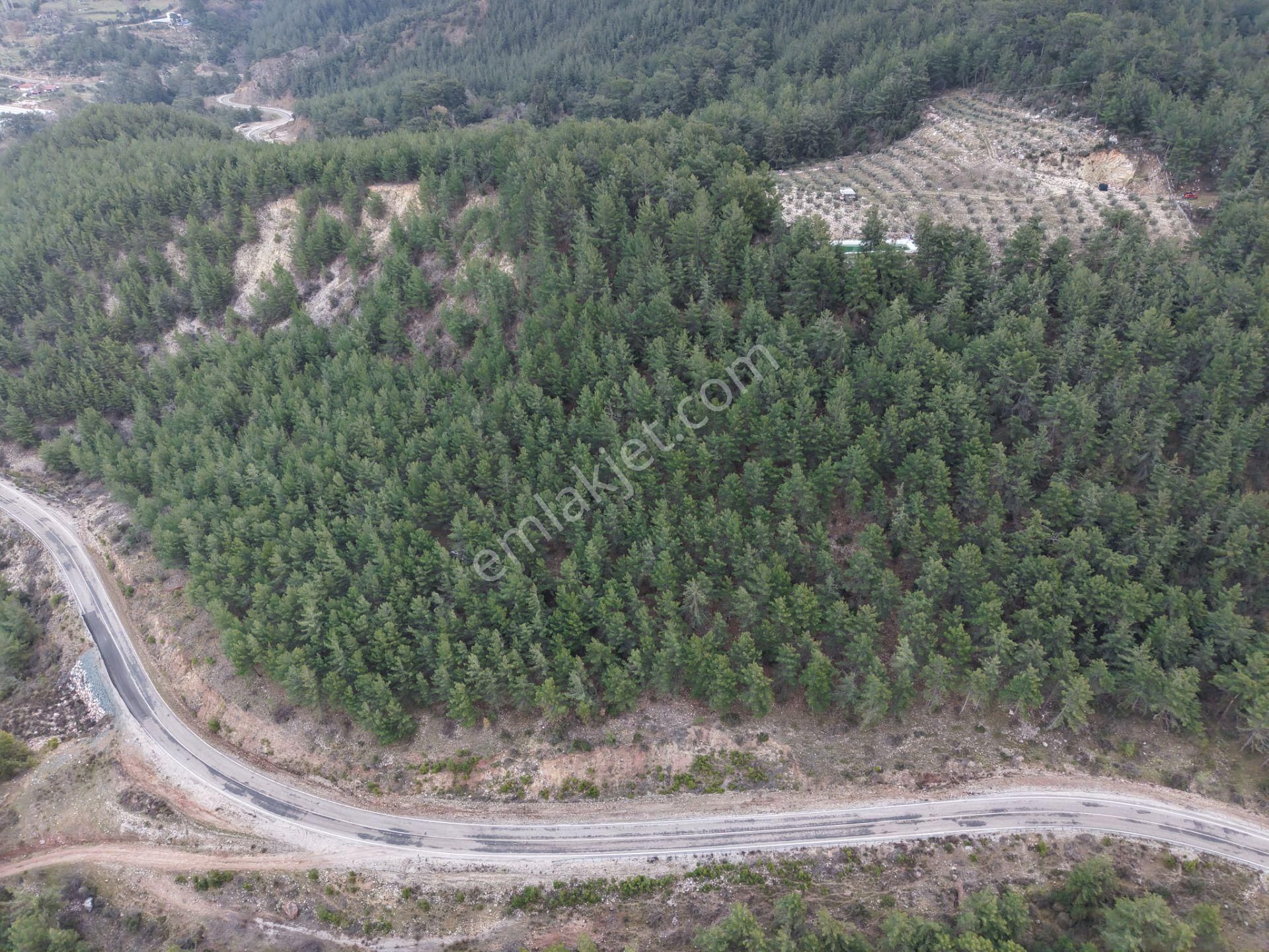 Bmk Emlakdan Antalya Kumluca Güzörende Satılık Zeytin Bahçesi - Görsel 33