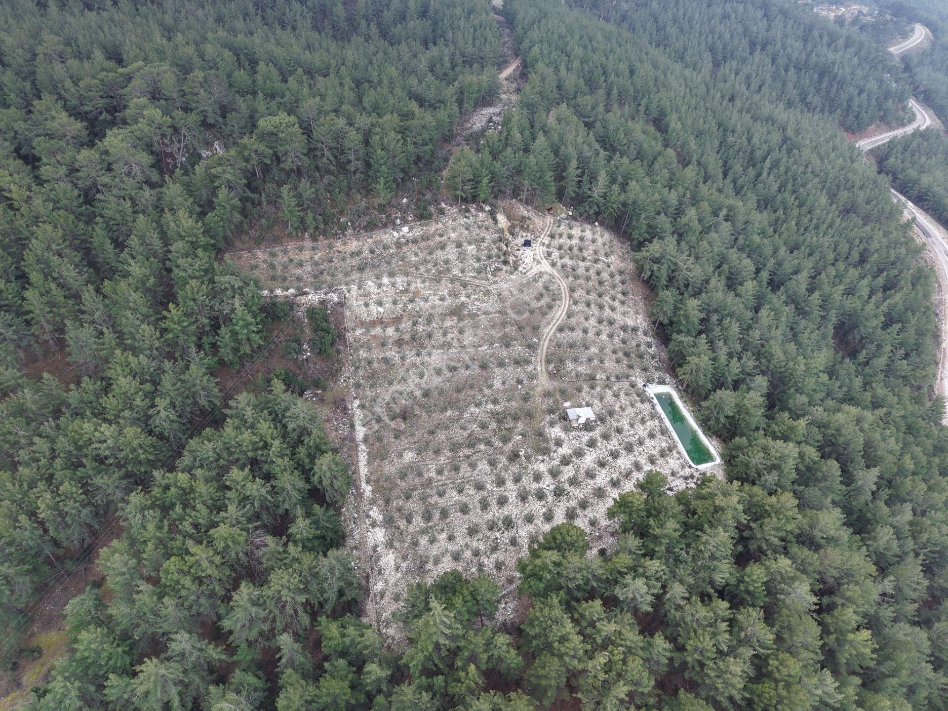 Bmk Emlakdan Antalya Kumluca Güzörende Satılık Zeytin Bahçesi - Görsel 20