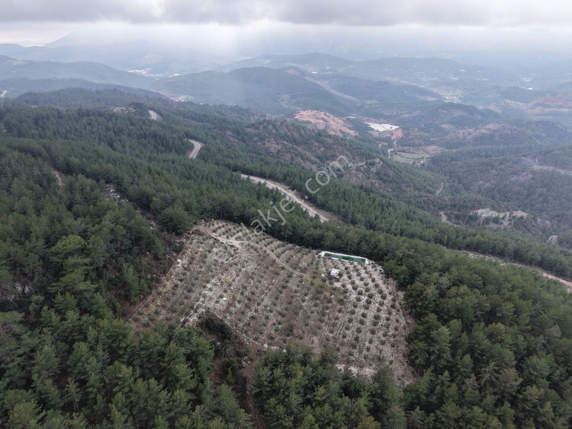 Bmk Emlakdan Antalya Kumluca Güzörende Satılık Zeytin Bahçesi - Görsel 27