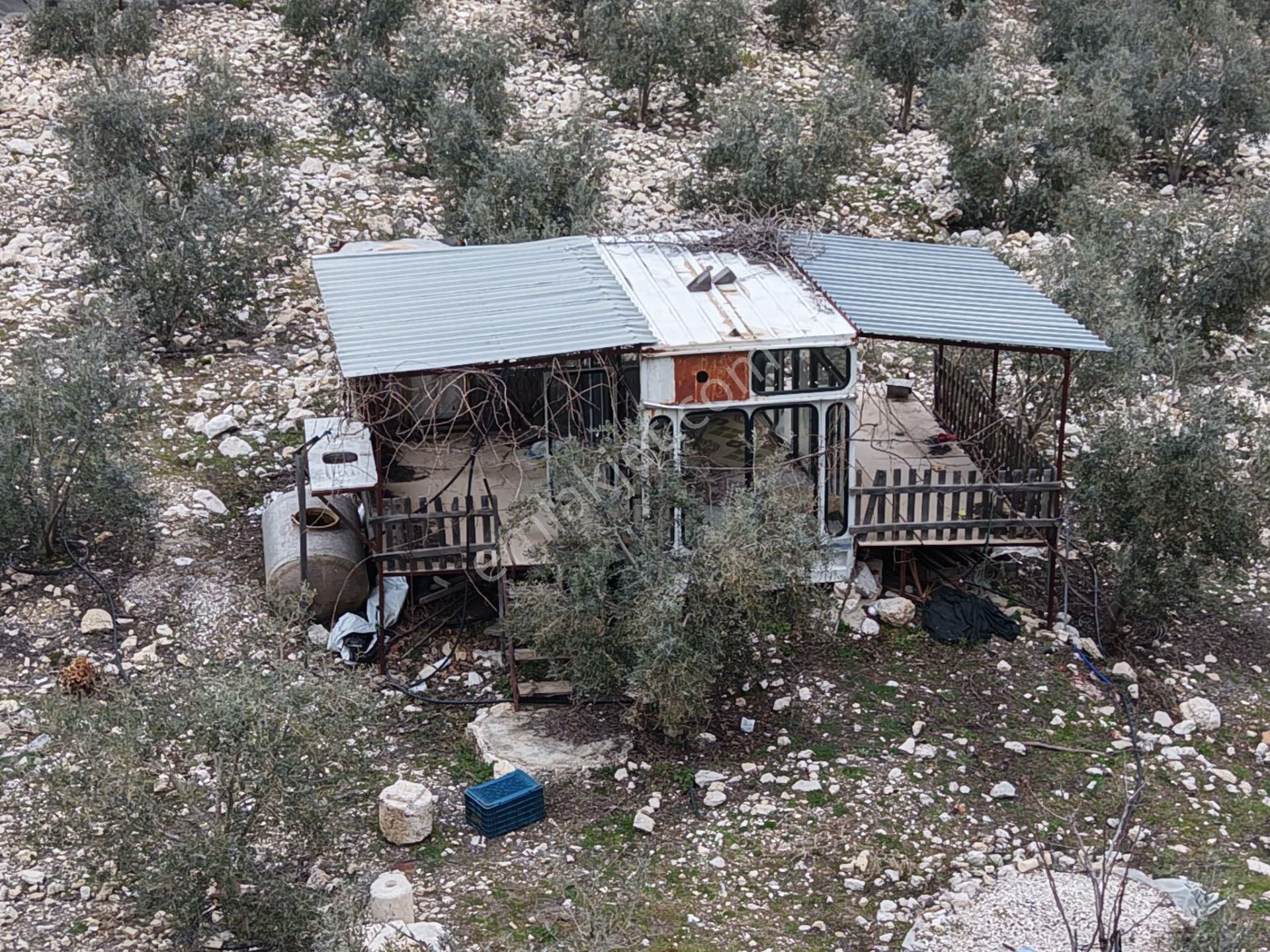 Bmk Emlakdan Antalya Kumluca Güzörende Satılık Zeytin Bahçesi - Görsel 8