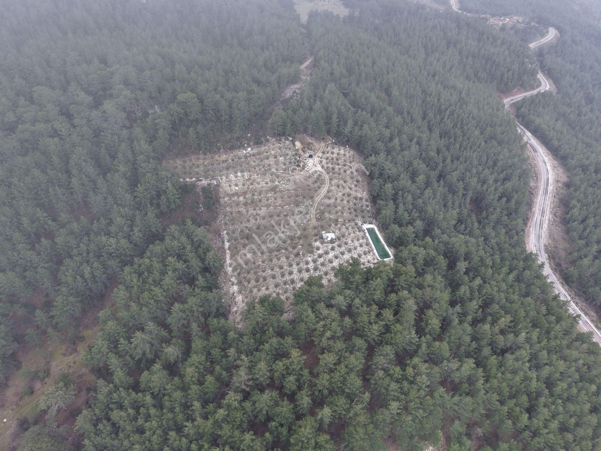 Bmk Emlakdan Antalya Kumluca Güzörende Satılık Zeytin Bahçesi - Görsel 21