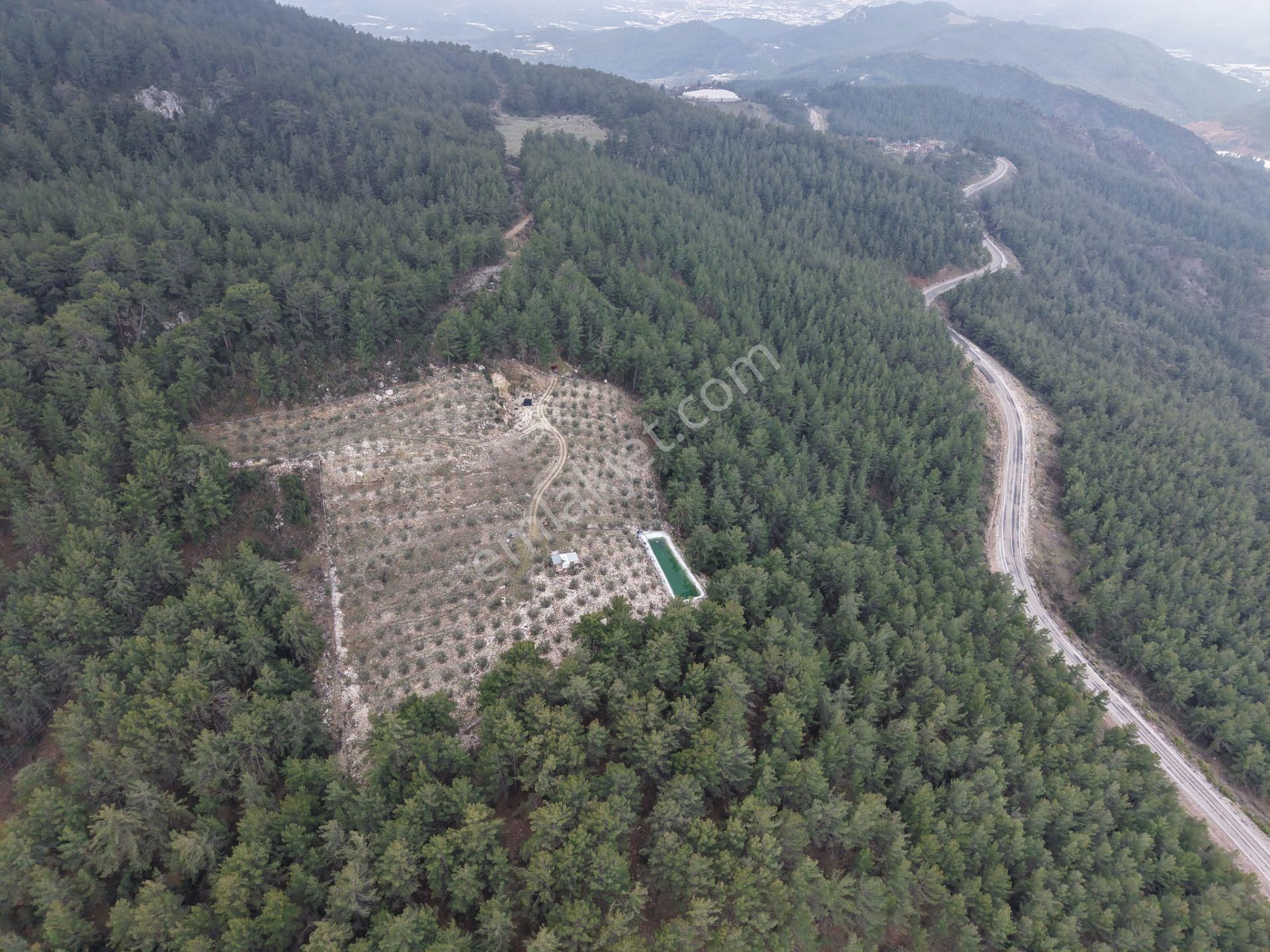 Bmk Emlakdan Antalya Kumluca Güzörende Satılık Zeytin Bahçesi - Görsel 22