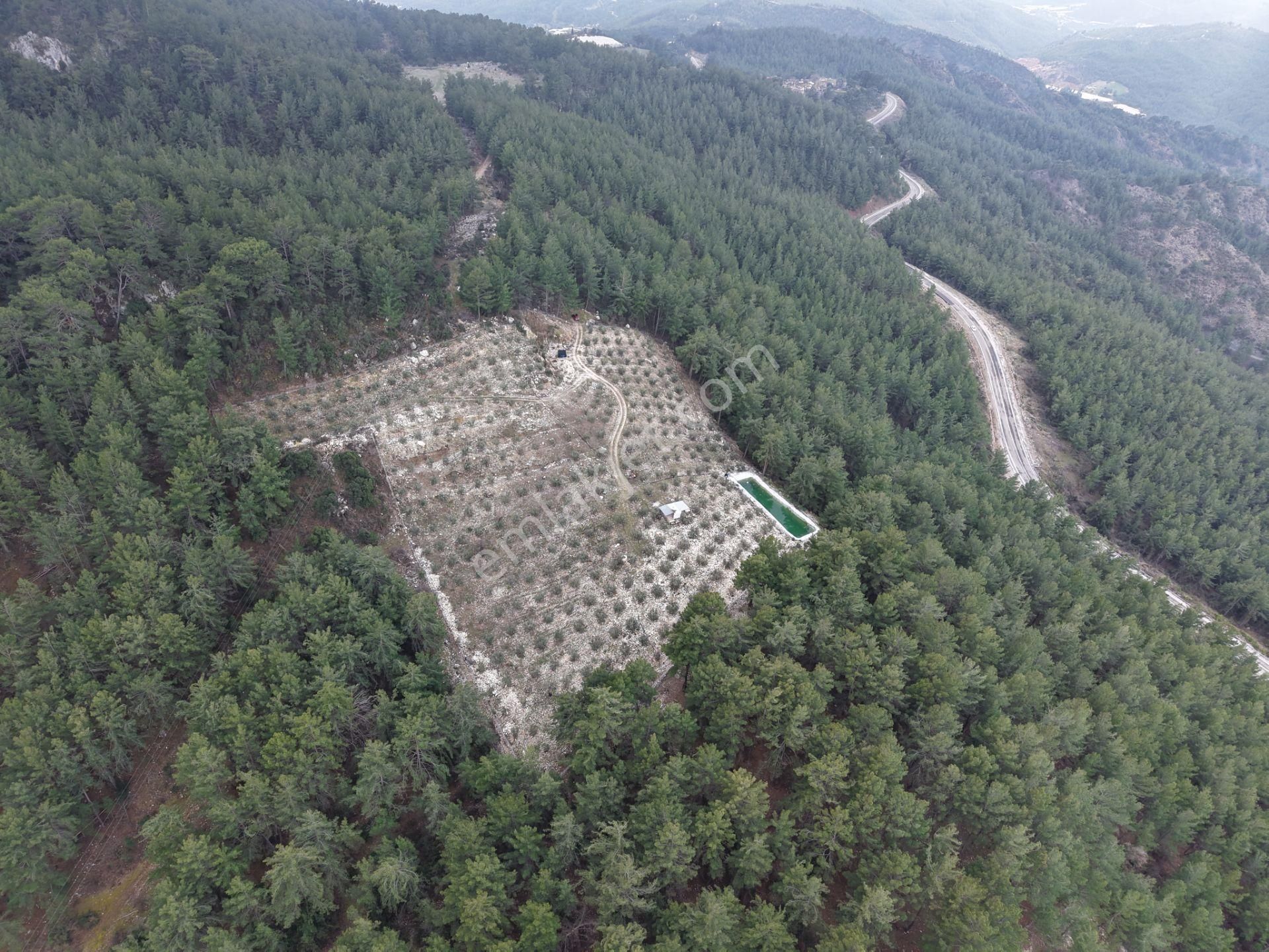 Bmk Emlakdan Antalya Kumluca Güzörende Satılık Zeytin Bahçesi - Görsel 25