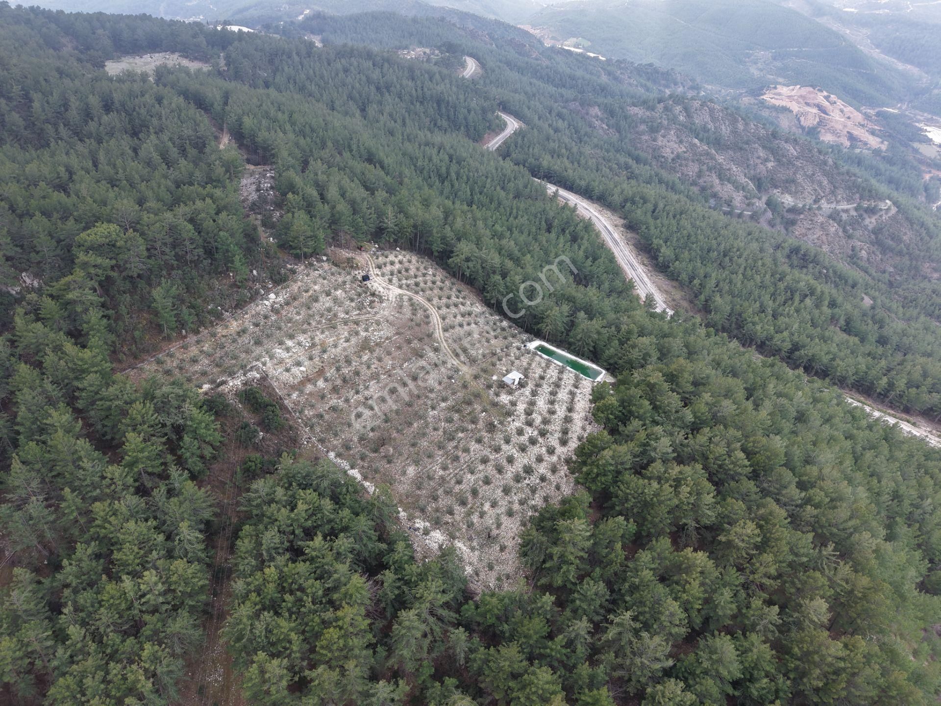 Bmk Emlakdan Antalya Kumluca Güzörende Satılık Zeytin Bahçesi - Görsel 26