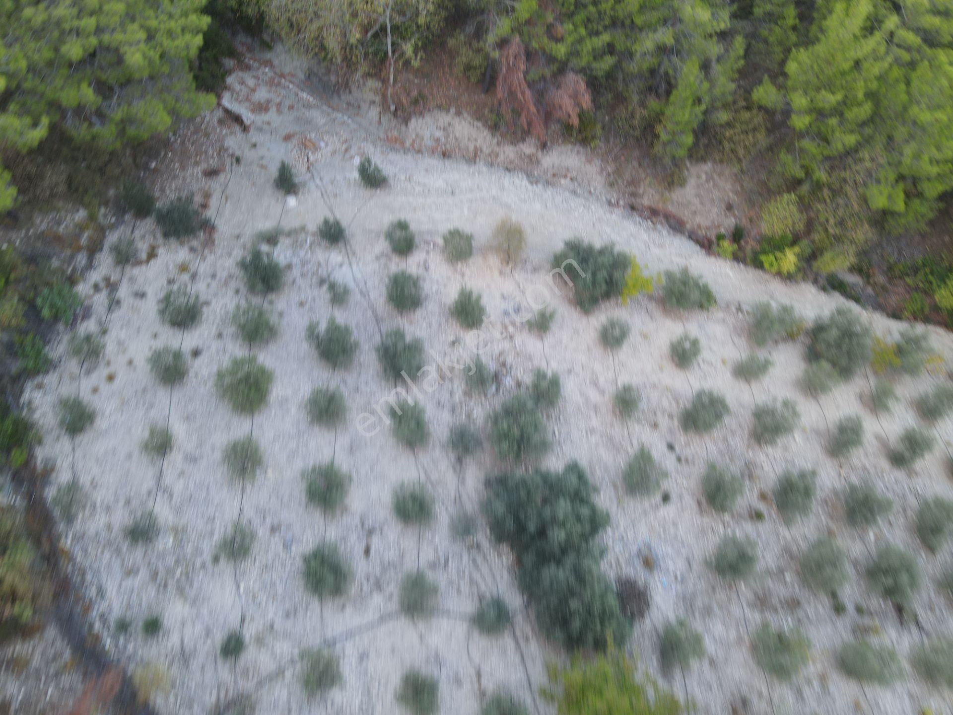 Bmk Emlaktan Antalya Kumluca Yeşilköyde Satılık Tarla - Görsel 8