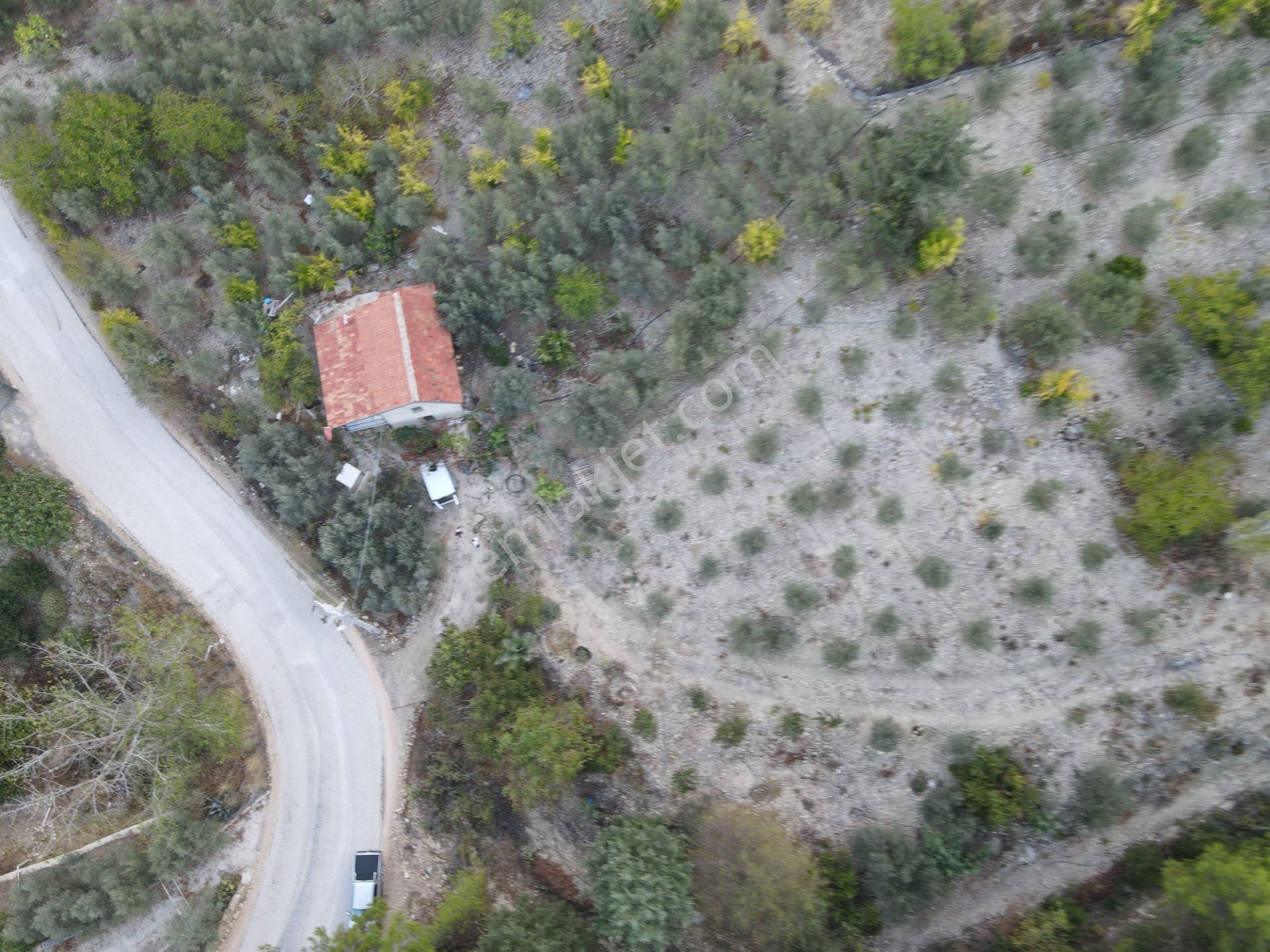 Bmk Emlaktan Antalya Kumluca Yeşilköyde Satılık Tarla - Görsel 11