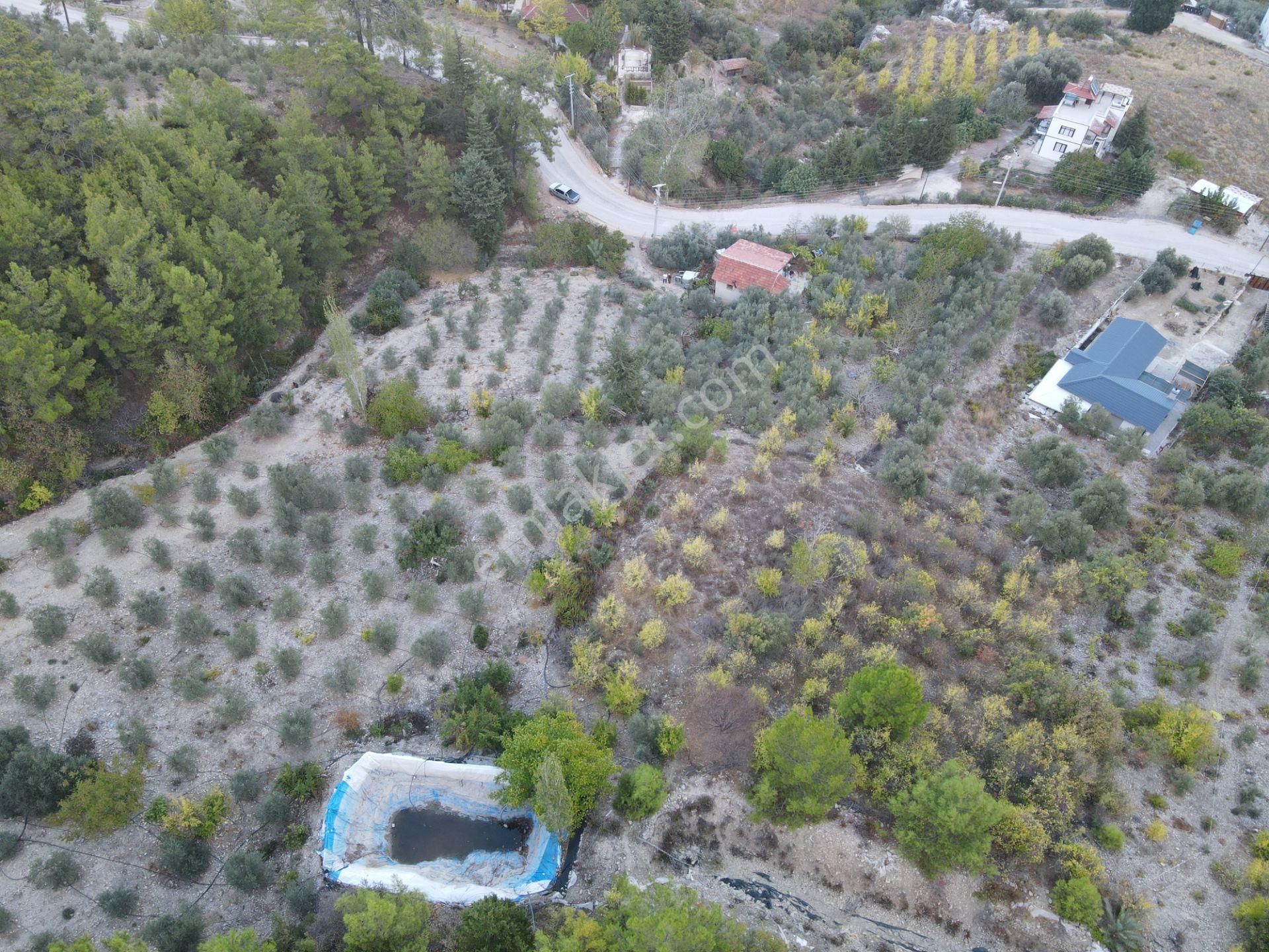 Bmk Emlaktan Antalya Kumluca Yeşilköyde Satılık Tarla - Görsel 31