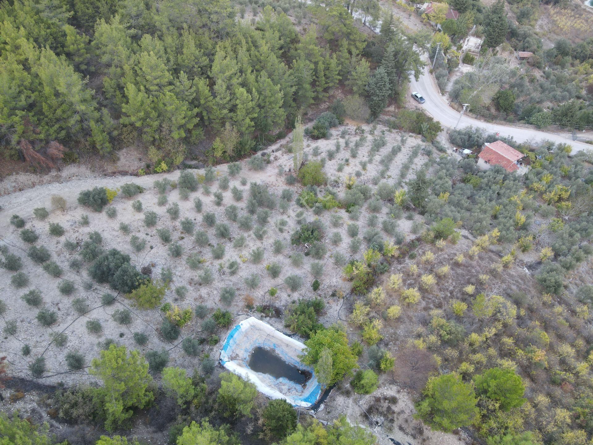 Bmk Emlaktan Antalya Kumluca Yeşilköyde Satılık Tarla - Görsel 30