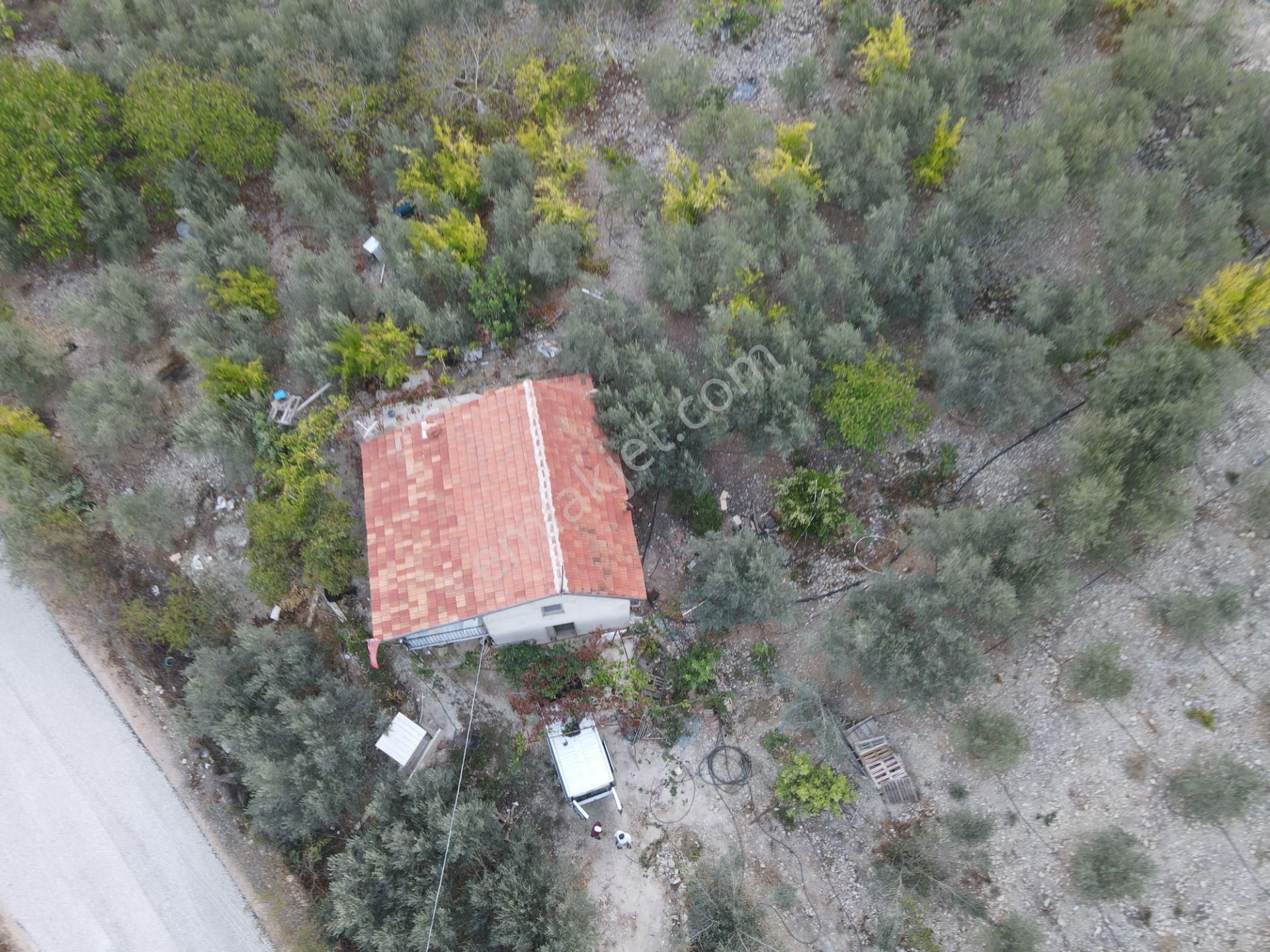 Bmk Emlaktan Antalya Kumluca Yeşilköyde Satılık Tarla - Görsel 3