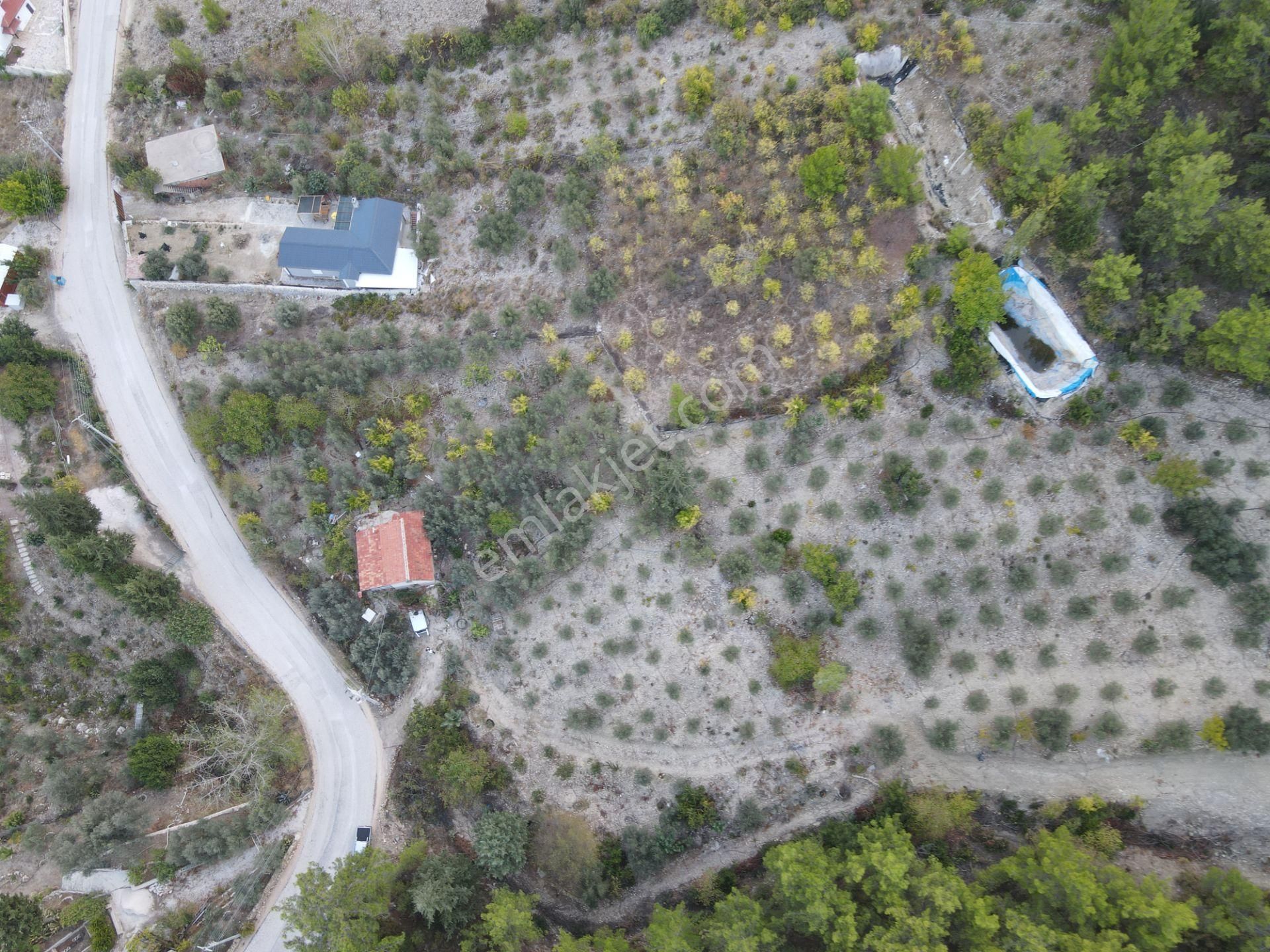 Bmk Emlaktan Antalya Kumluca Yeşilköyde Satılık Tarla - Görsel 12