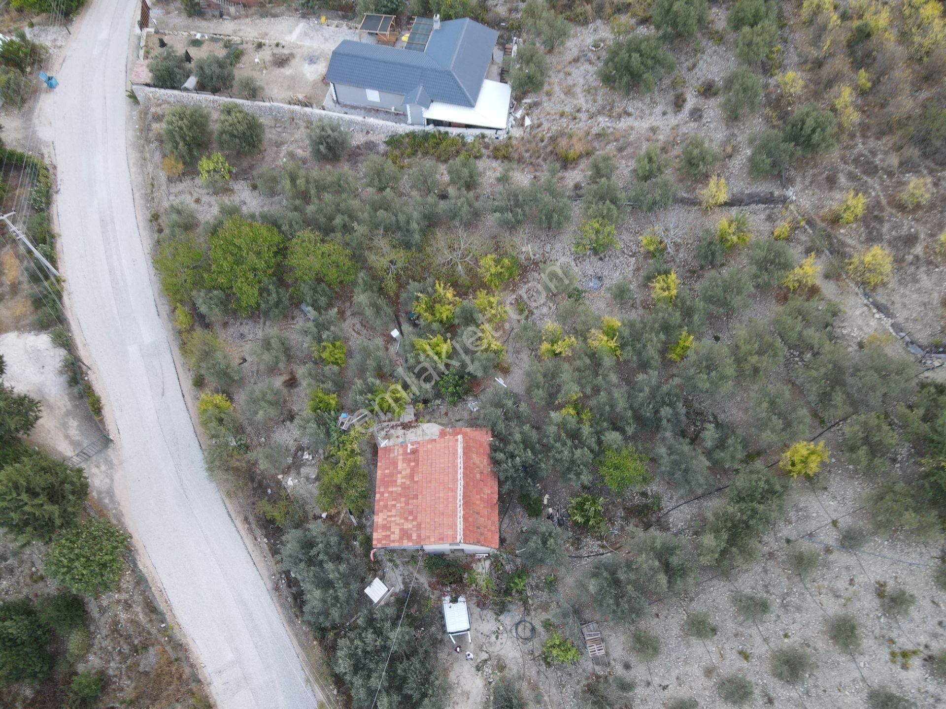 Bmk Emlaktan Antalya Kumluca Yeşilköyde Satılık Tarla - Görsel 4