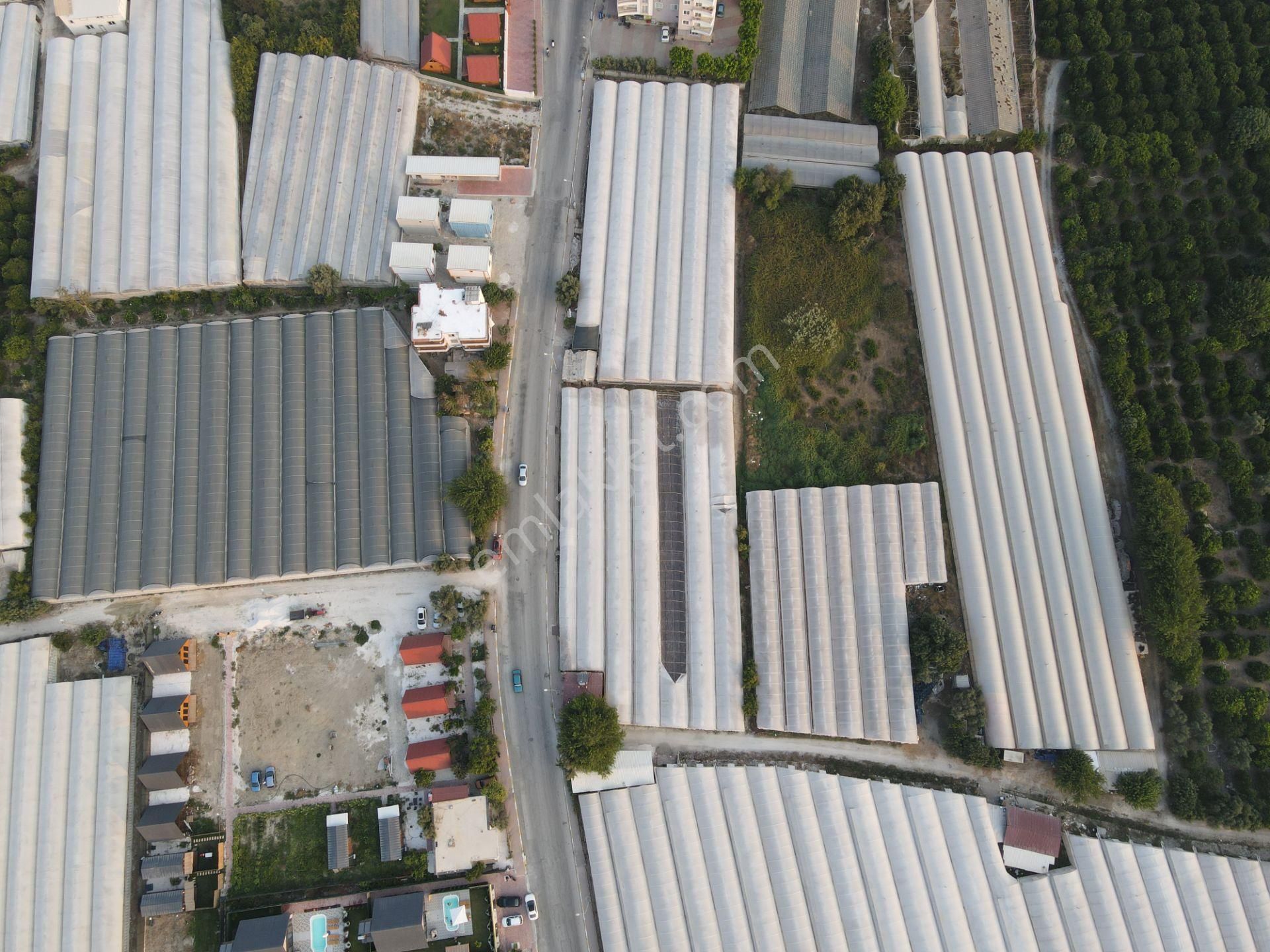 Antalya Kumluca Demrede Satılık Arsa - Görsel 12