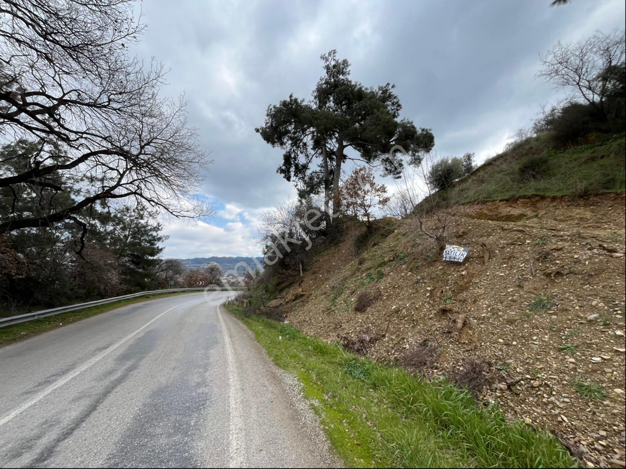 Turgutlu Irlamaz Satılık Tarla Emr Gayrimenkul Farkıyla Satılık Zeytinlik