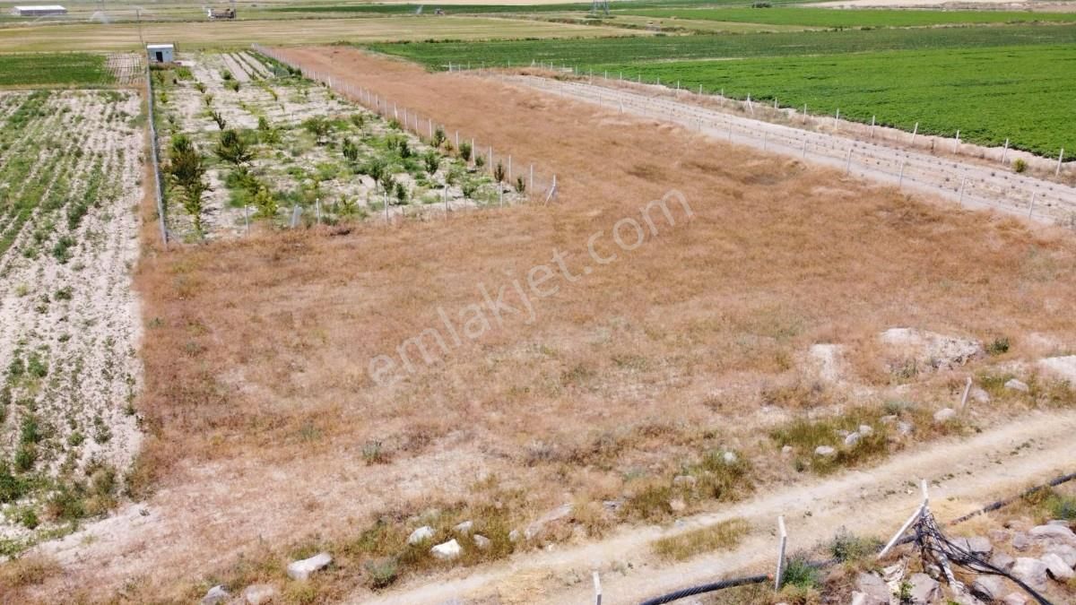 Anadolu Emlaktan Yol Kenarı Süper Konumda 1750m2 Bahçe - Görsel 3
