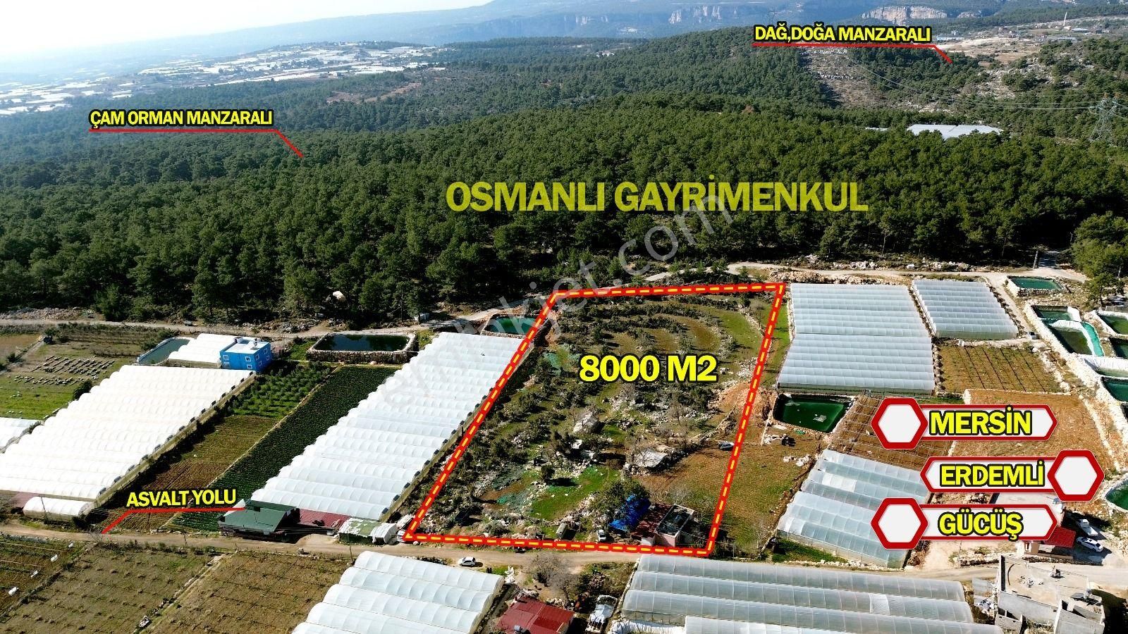 Erdemli Gücüş Satılık 8 Dönüm Köyiçi Tarla - Görsel 5