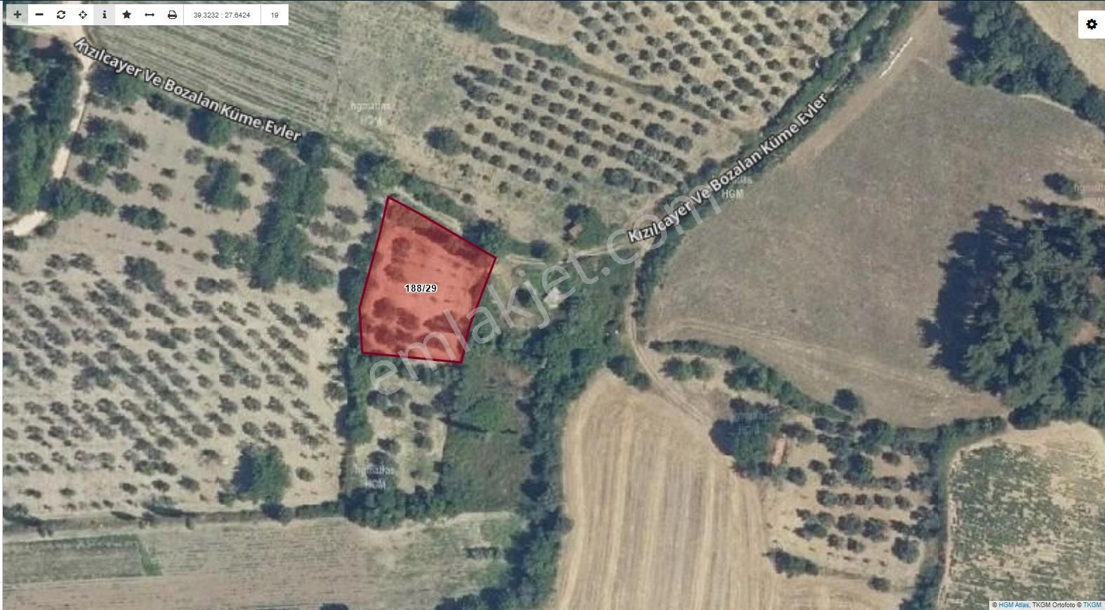 Soma Yağcıllı Mahallesi Satılık Zeytinlik Pazarlık Vardır - Görsel 4