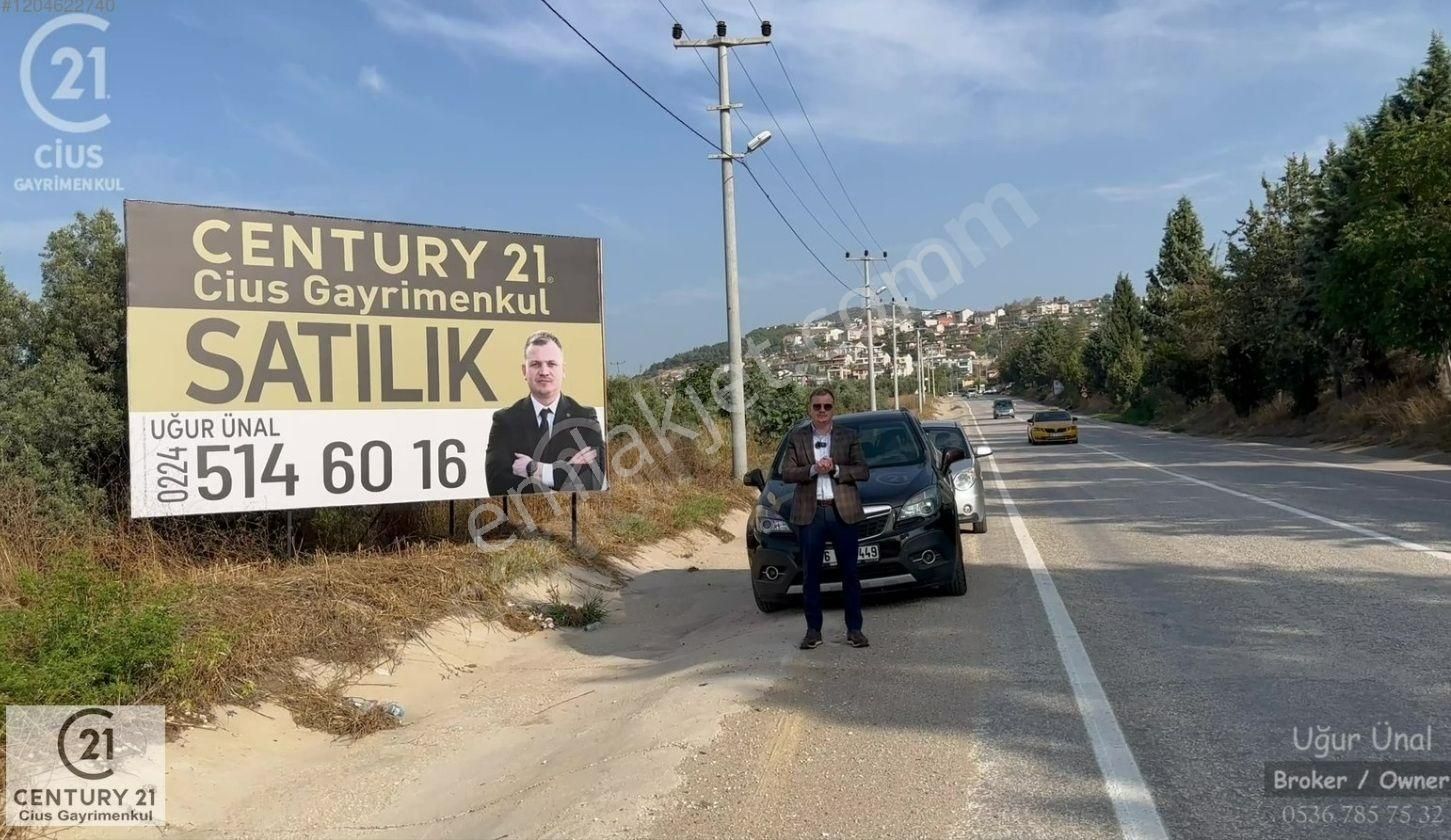 Gemlik Umurbey Satılık Zeytinlik C21 Cius; Umurbey Asfaltına Cephe Deniz Manzaralı Emsalsiz Zeyt