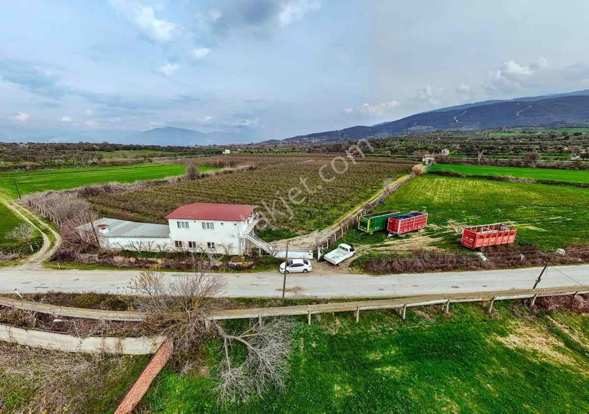 Nazilli Toygar’da Satılık Nar Bahçesi - Görsel 6