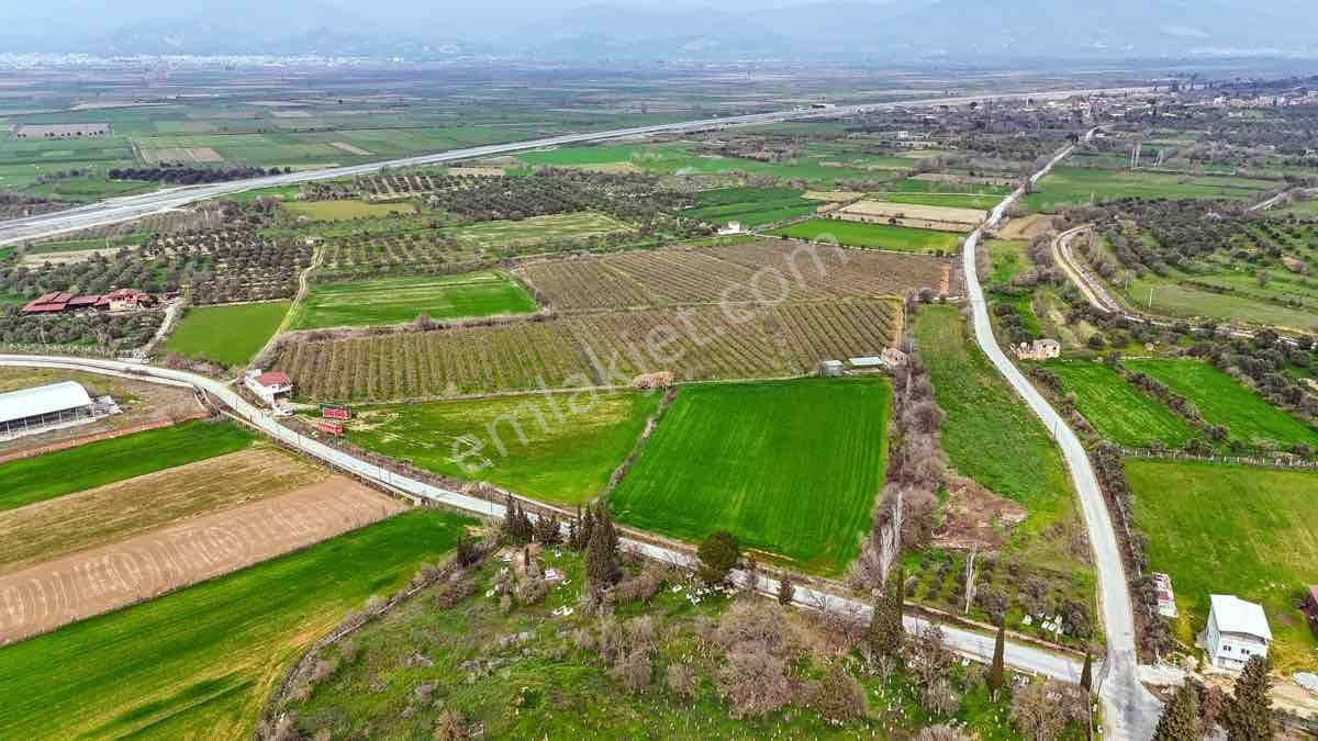 Nazilli Toygar’da Satılık Nar Bahçesi - Görsel 12