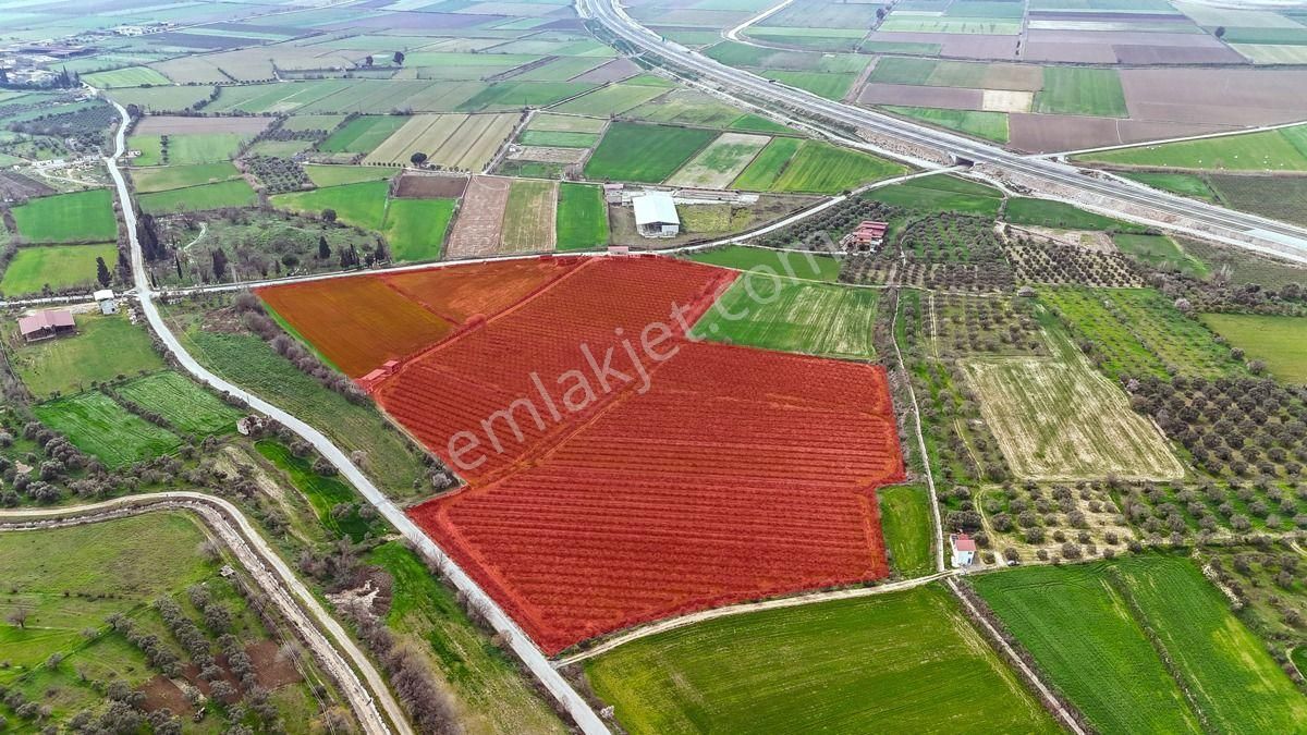 Nazilli Toygar’da Satılık Nar Bahçesi - Görsel 11