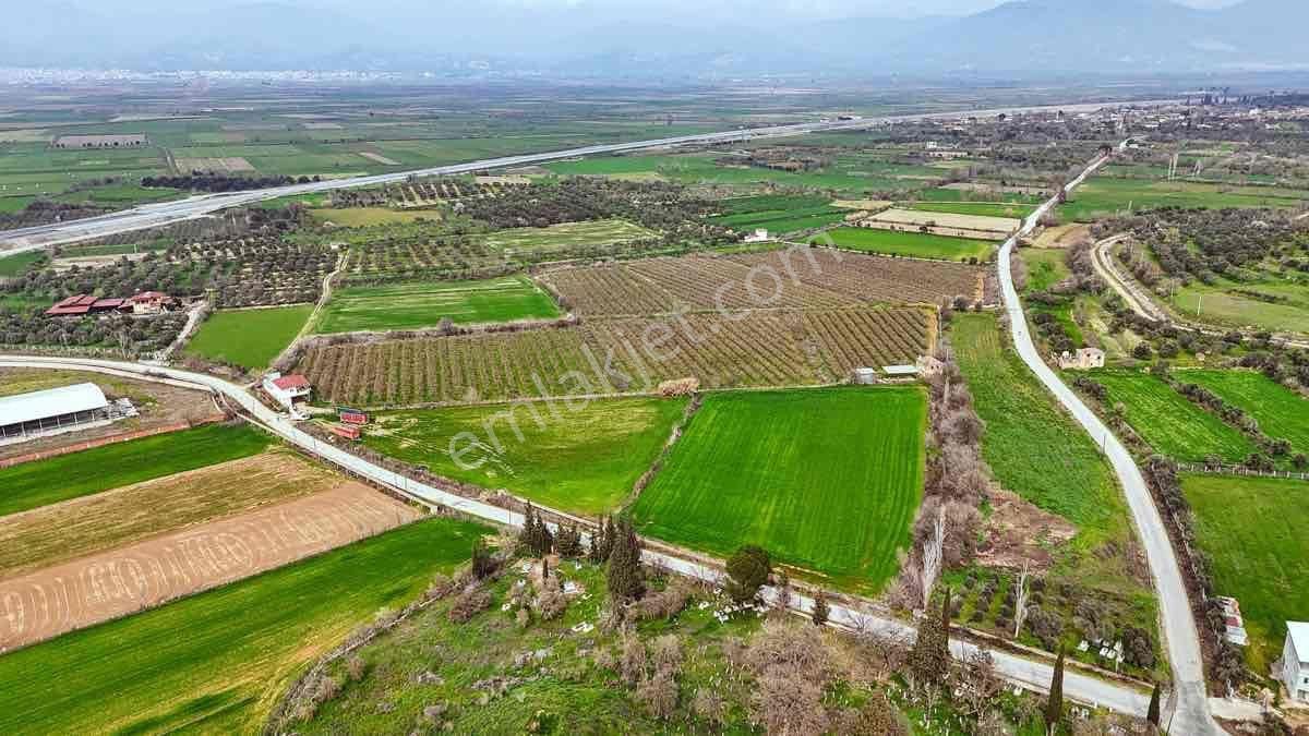 Nazilli Toygar’da Satılık Nar Bahçesi - Görsel 8