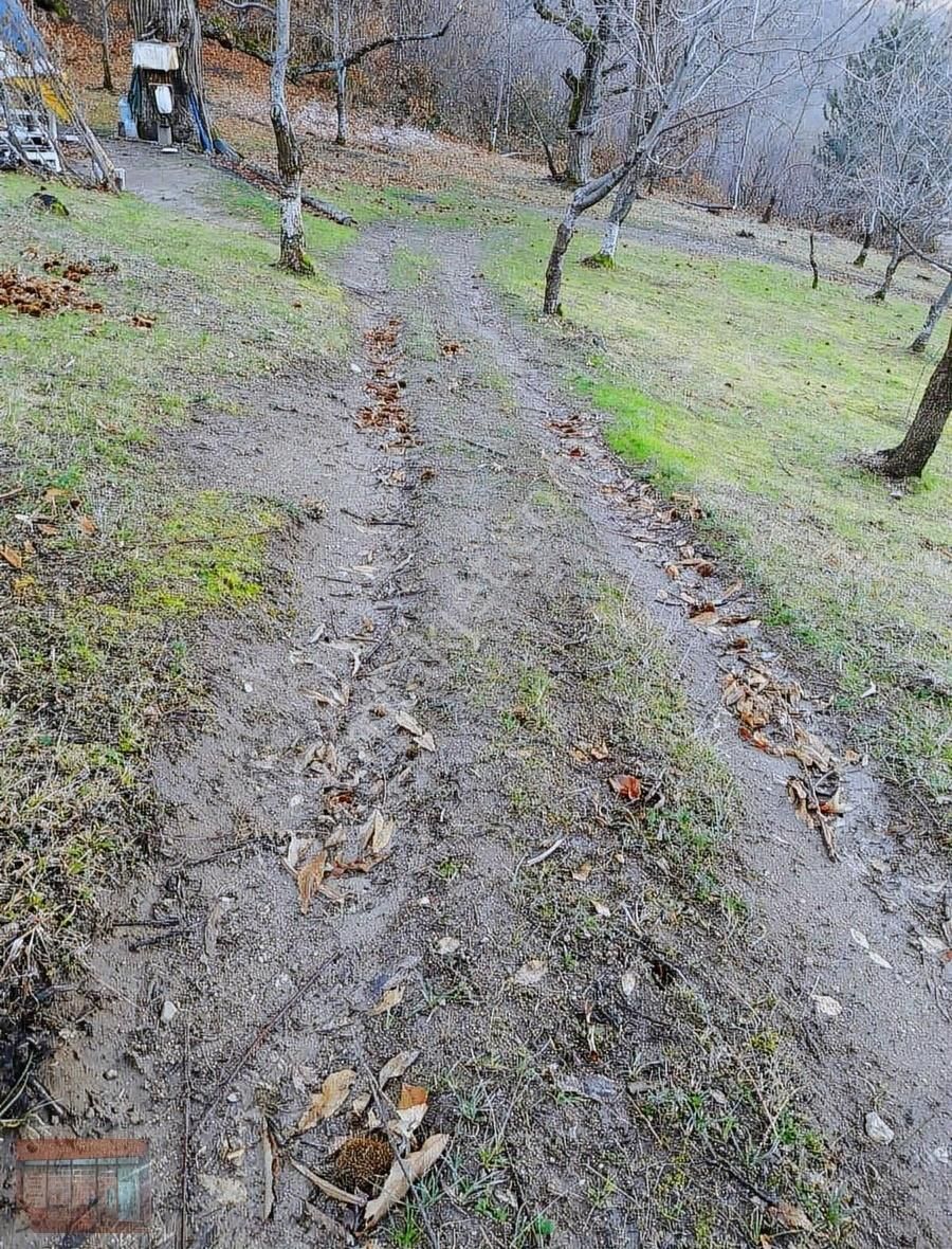 İnegöl Çayyaka Ve Kestane Alana Yakın Tarla Acil Satılık - Görsel 33