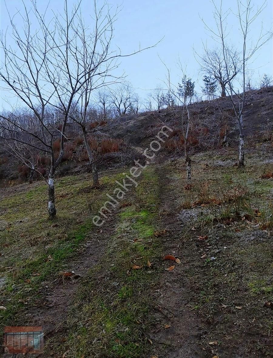 İnegöl Çayyaka Ve Kestane Alana Yakın Tarla Acil Satılık - Görsel 32