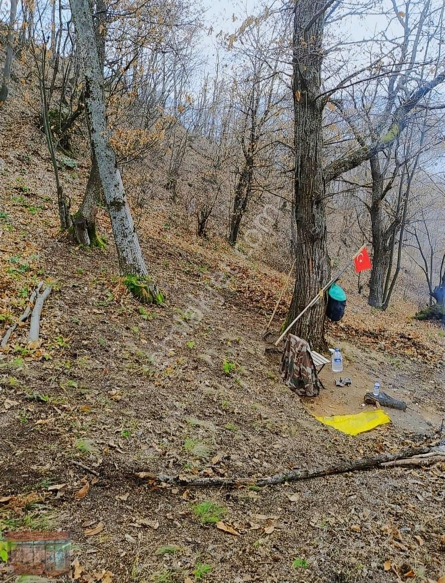 İnegöl Çayyaka Ve Kestane Alana Yakın Tarla Acil Satılık - Görsel 29
