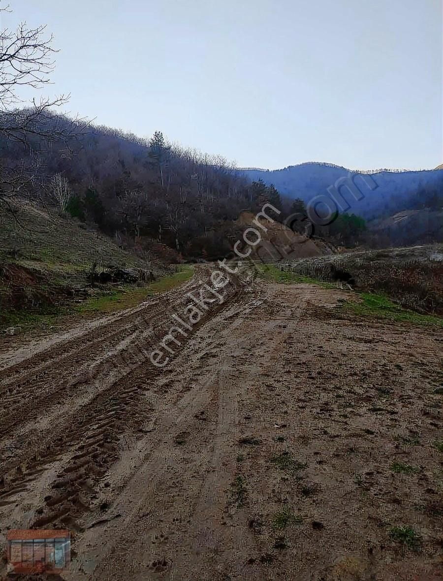 İnegöl Çayyaka Ve Kestane Alana Yakın Tarla Acil Satılık - Görsel 9