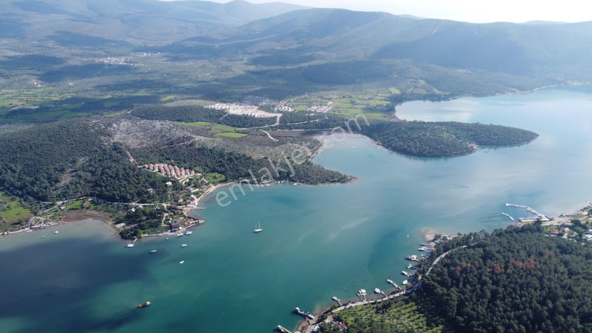 Milas Kazıklı Satılık Bağ & Bahçe Geleceğe Yatırım Muğla Milas Kazikli Panorama Koop Arsaları