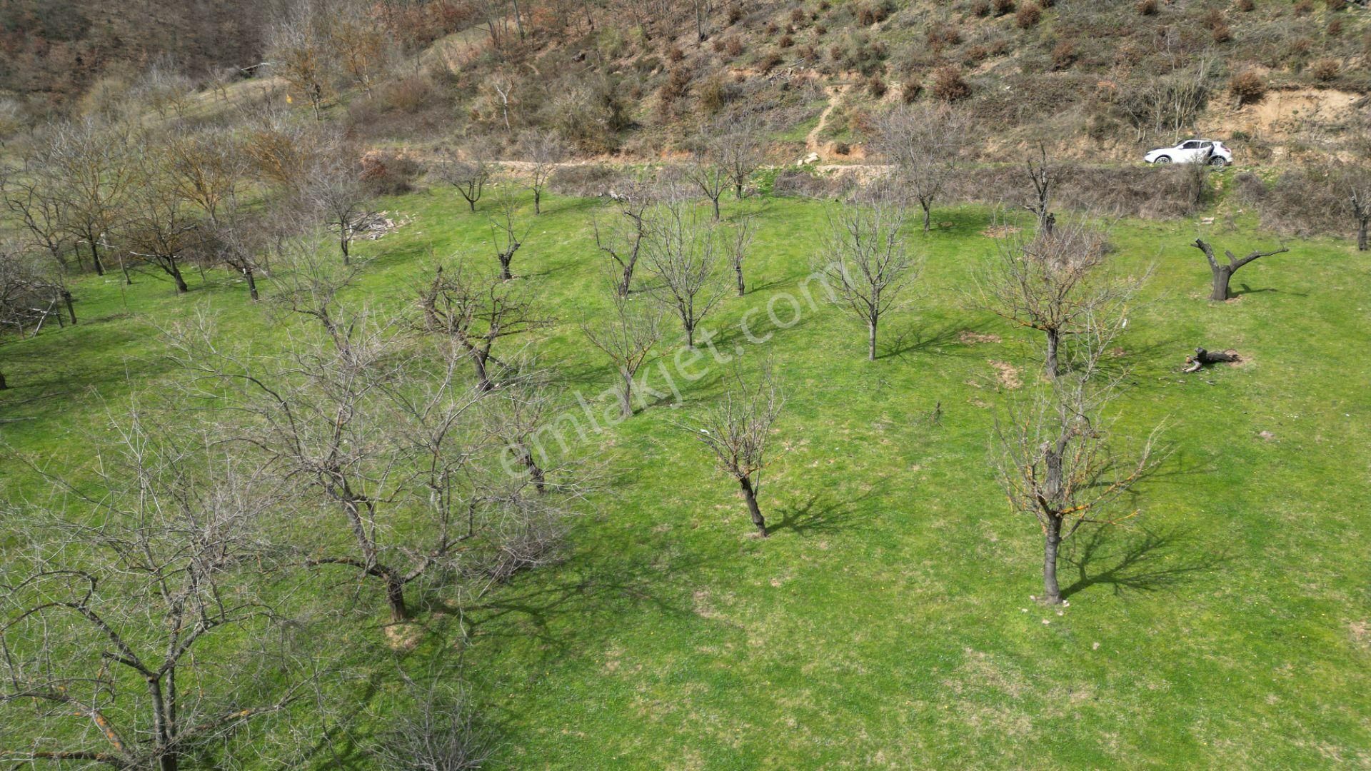 Bursa İznik Yörükler 4386 M2 Satılık Fırsat Tarla - Görsel 12