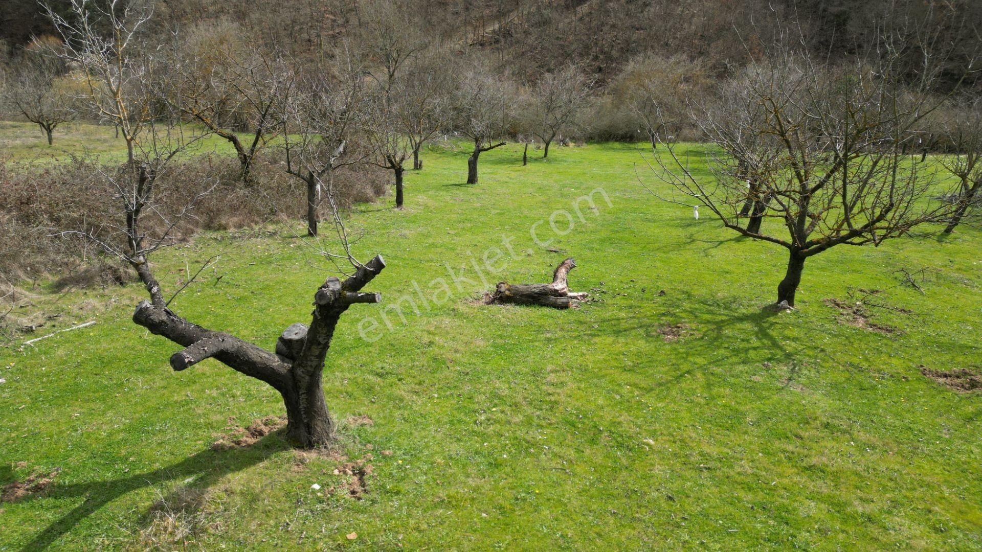 Bursa İznik Yörükler 4386 M2 Satılık Fırsat Tarla - Görsel 15