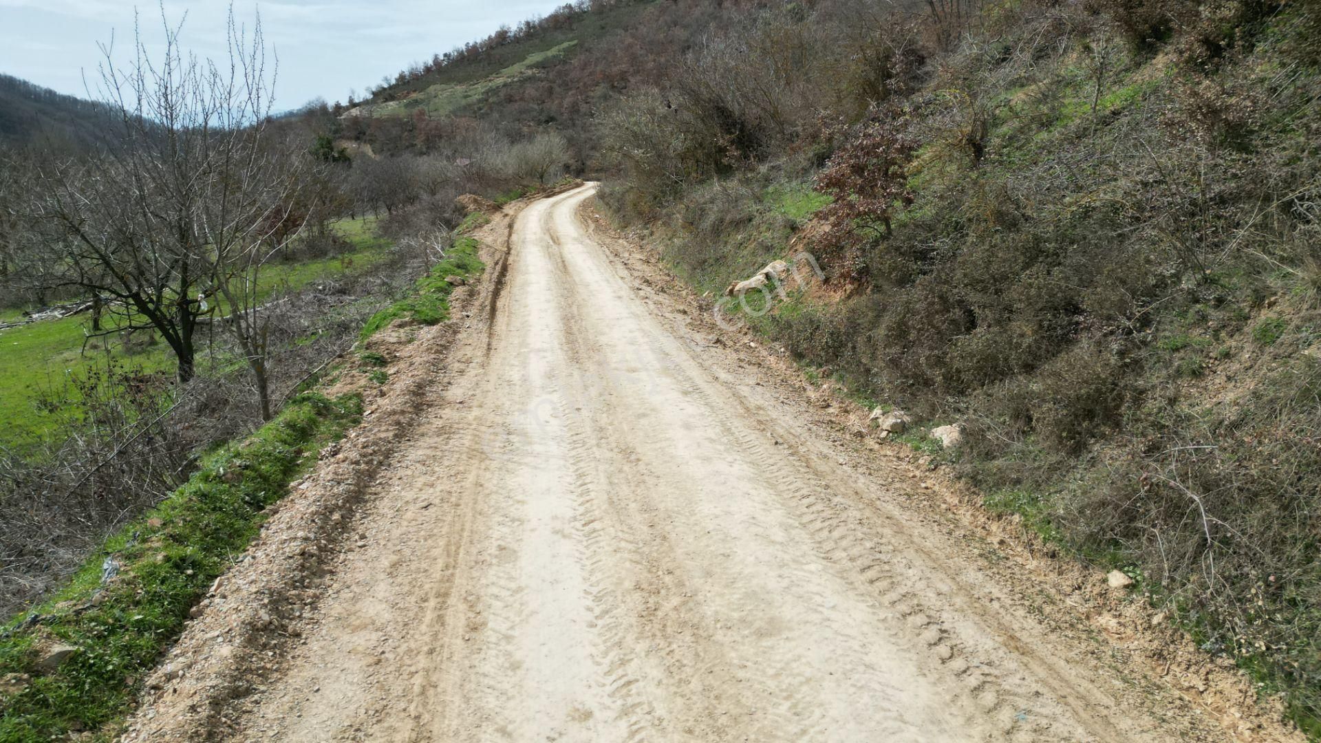 Bursa İznik Yörükler 4386 M2 Satılık Fırsat Tarla - Görsel 18