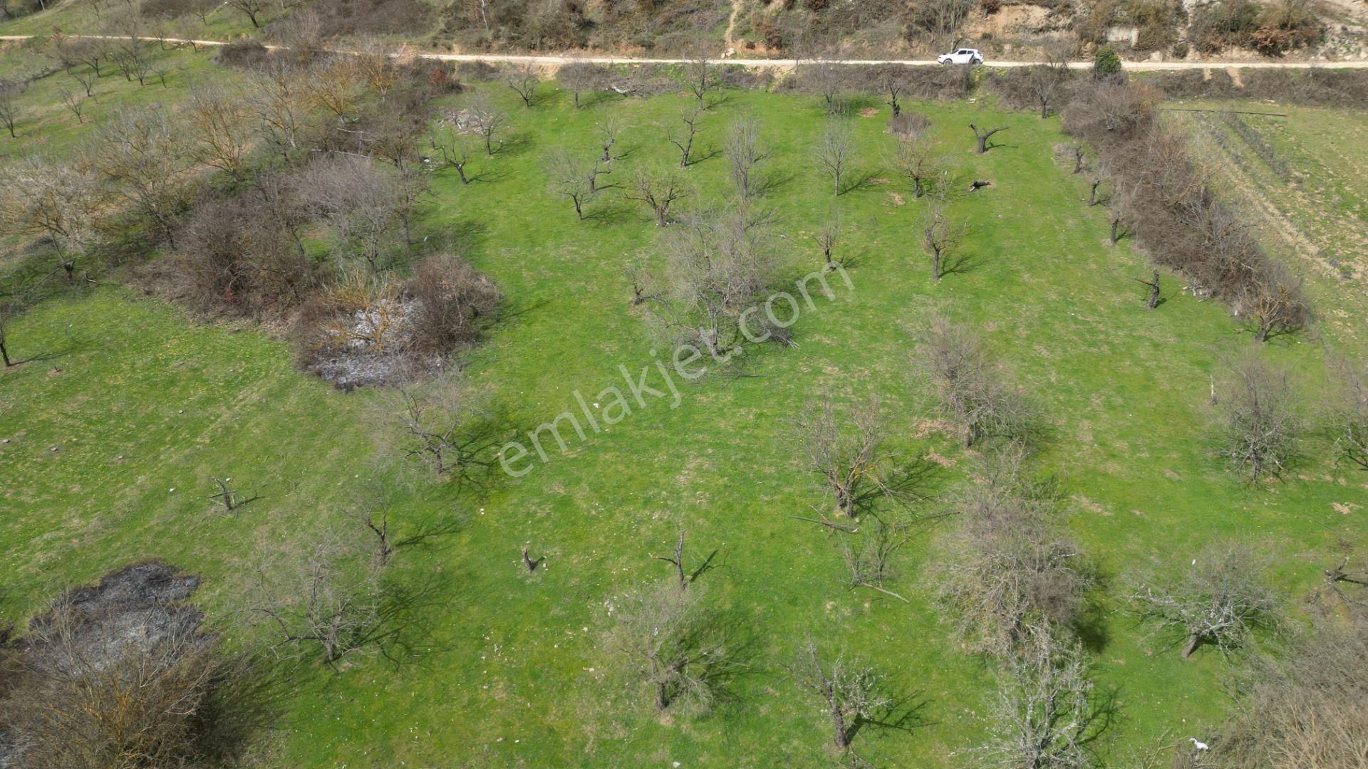 Bursa İznik Yörükler 4386 M2 Satılık Fırsat Tarla - Görsel 10