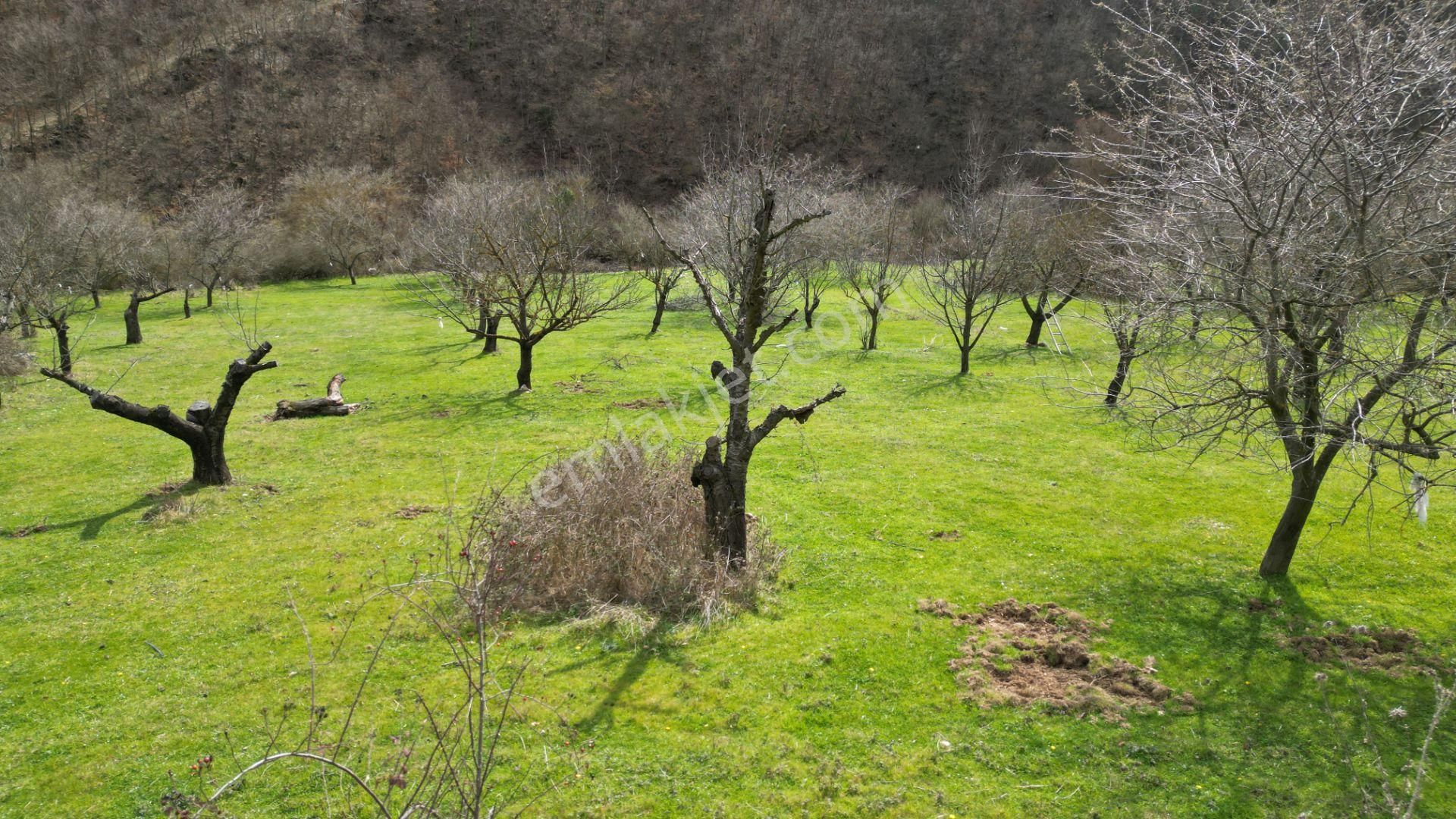 Bursa İznik Yörükler 4386 M2 Satılık Fırsat Tarla - Görsel 13