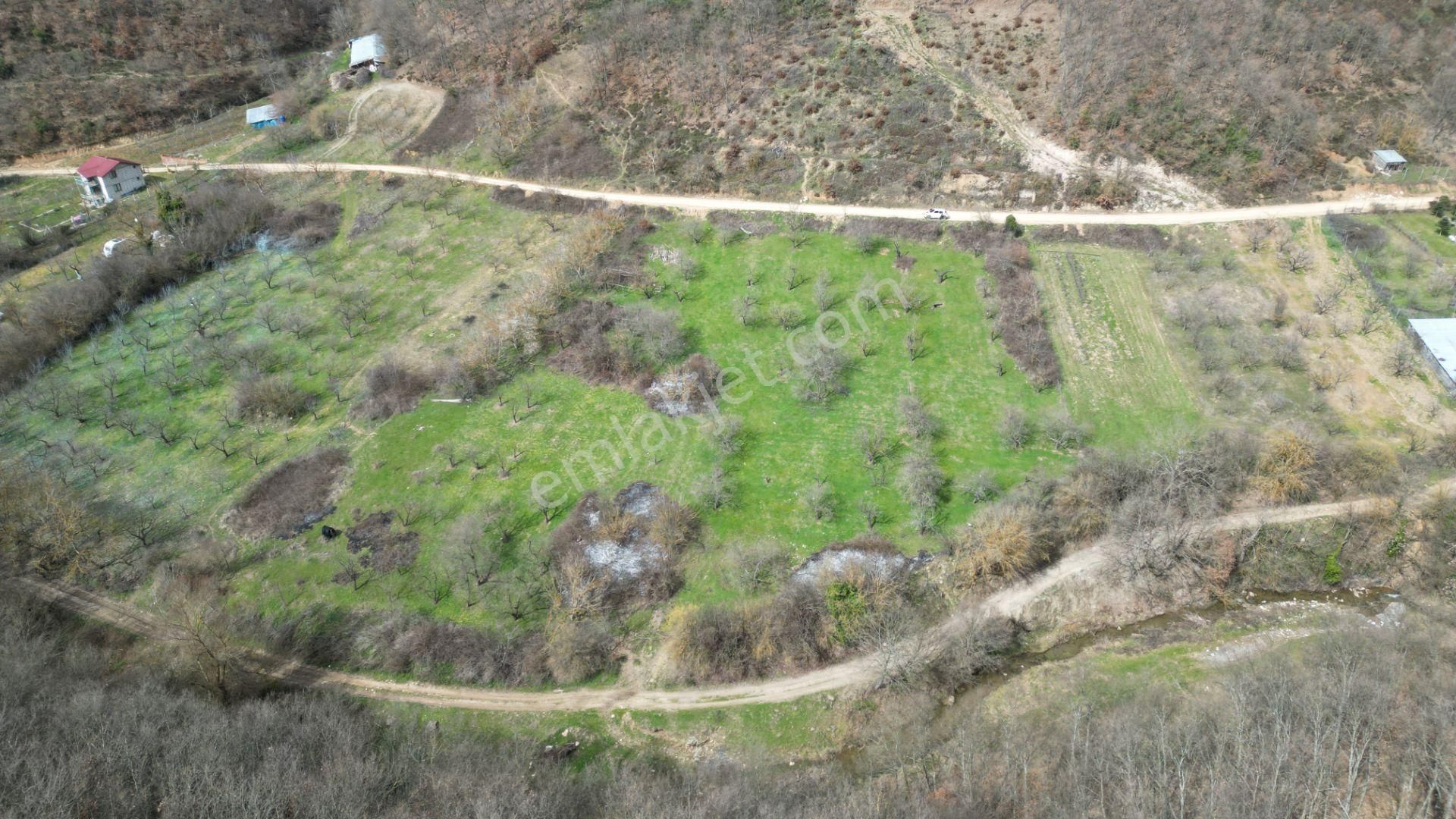 Bursa İznik Yörükler 4386 M2 Satılık Fırsat Tarla - Görsel 4