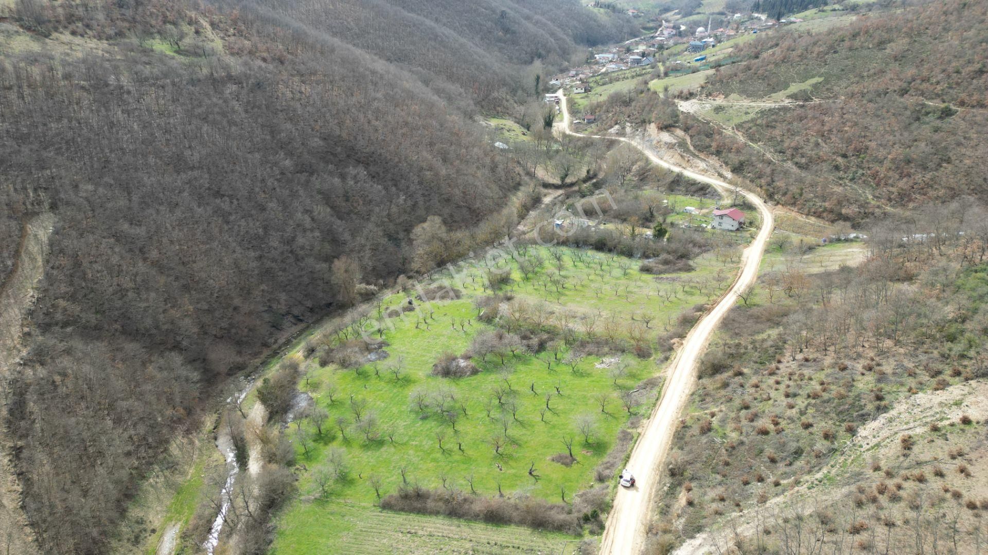 Bursa İznik Yörükler 4386 M2 Satılık Fırsat Tarla - Görsel 8