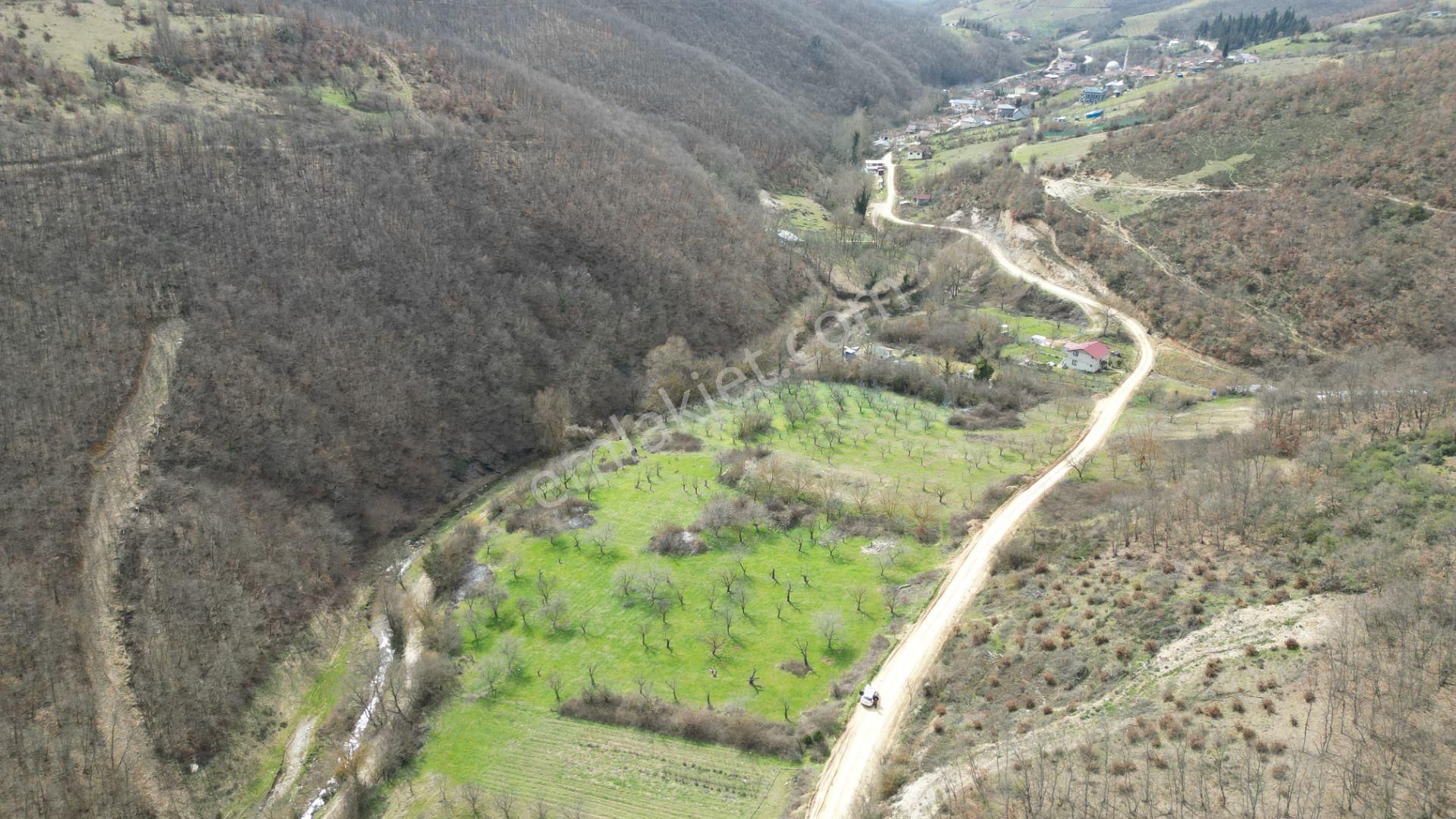 Bursa İznik Yörükler 4386 M2 Satılık Fırsat Tarla - Görsel 7