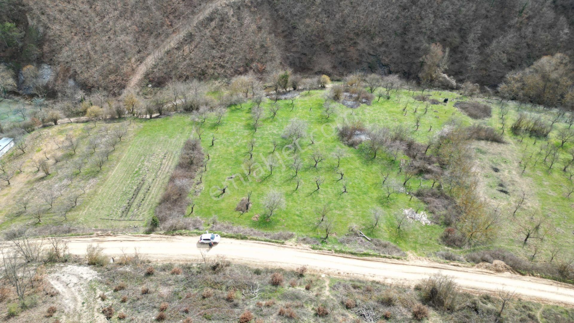 Bursa İznik Yörükler 4386 M2 Satılık Fırsat Tarla - Görsel 2