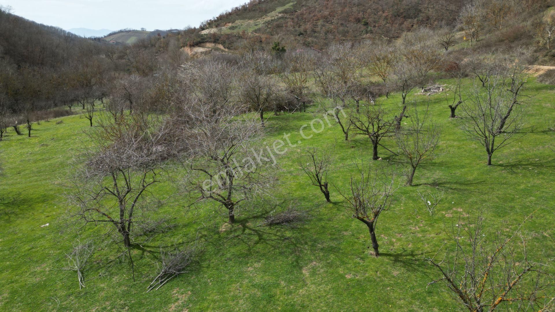 Bursa İznik Yörükler 4386 M2 Satılık Fırsat Tarla - Görsel 11