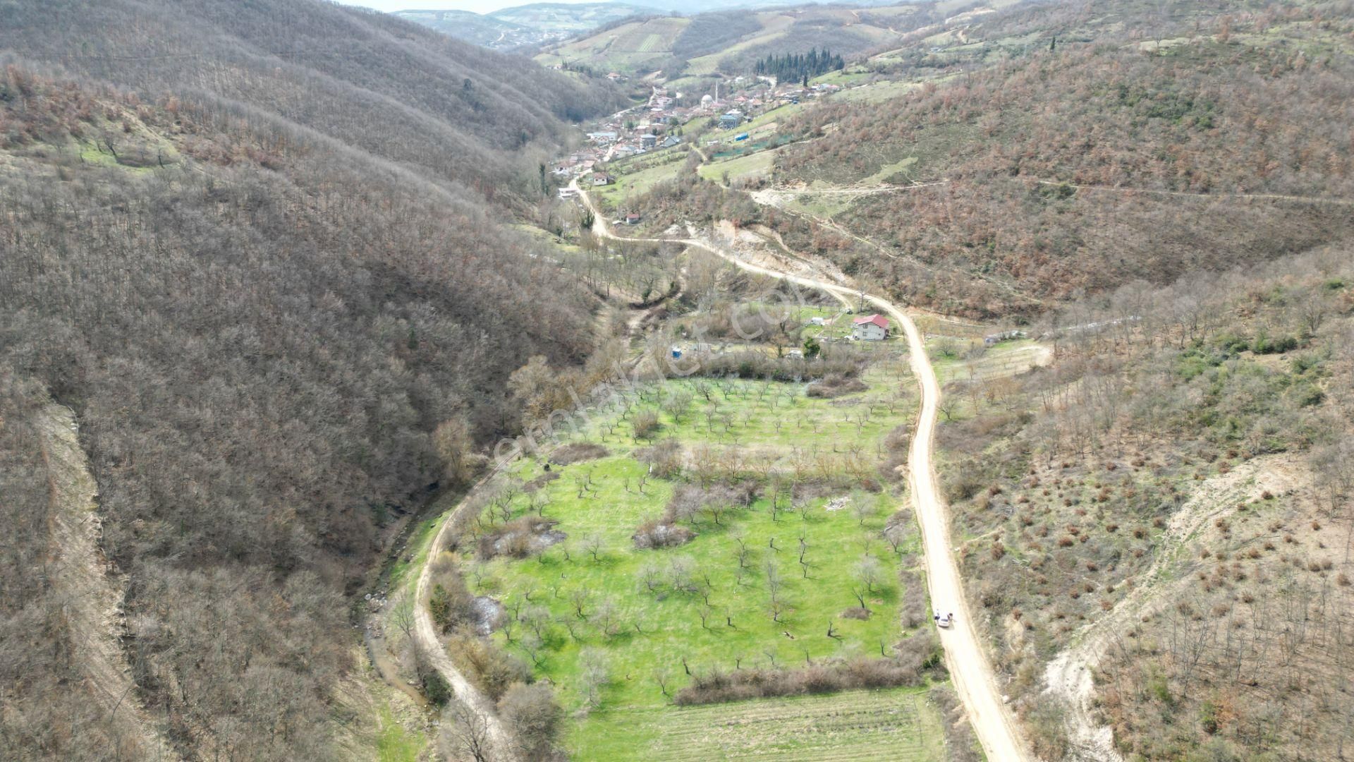 Bursa İznik Yörükler 4386 M2 Satılık Fırsat Tarla - Görsel 5