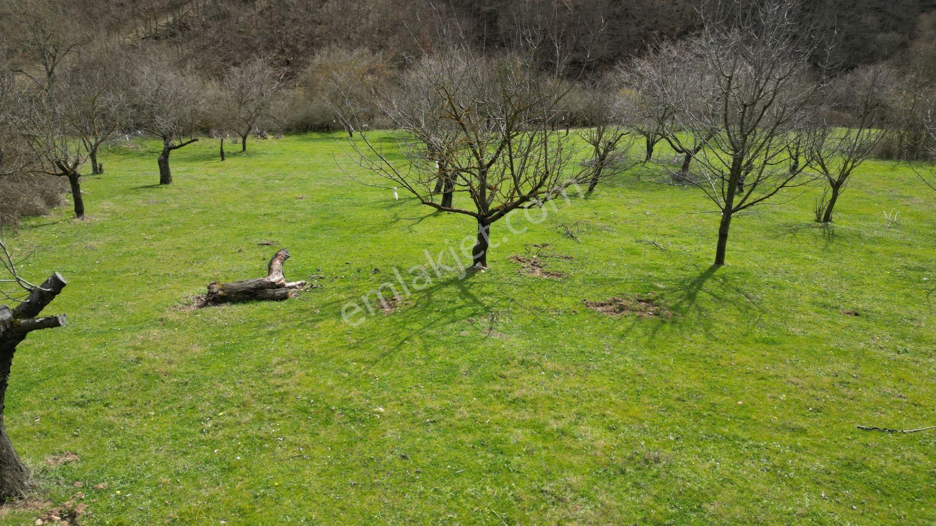 Bursa İznik Yörükler 4386 M2 Satılık Fırsat Tarla - Görsel 14