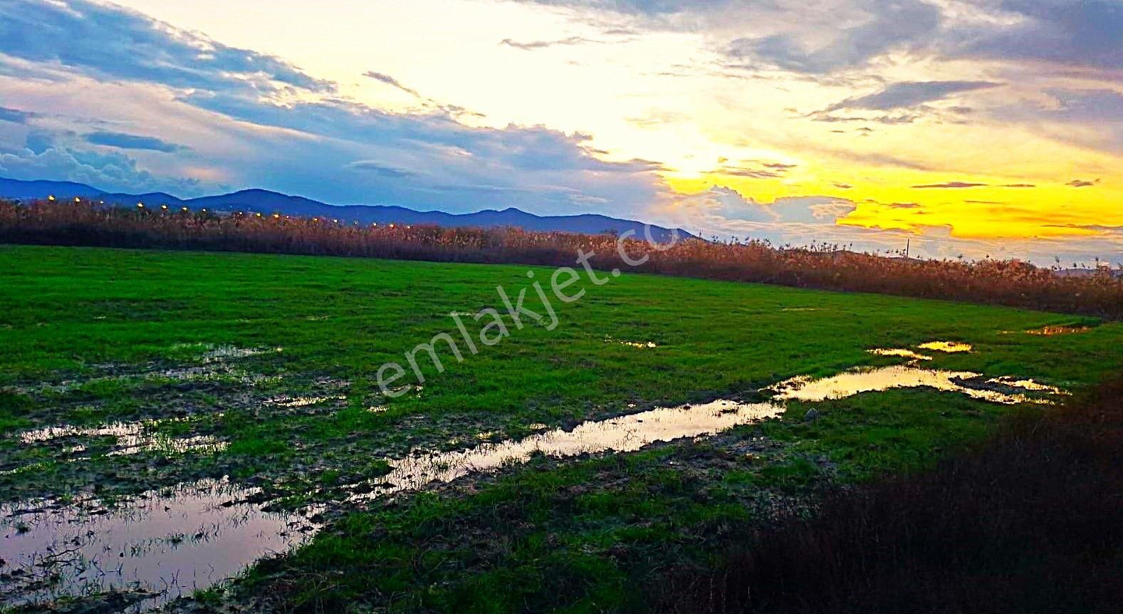 Milas Avşar Satılık Bağ & Bahçe Milas Avşar'da Havalimanına Yakın Yola Sıfır Satılık Bağ&bahçe