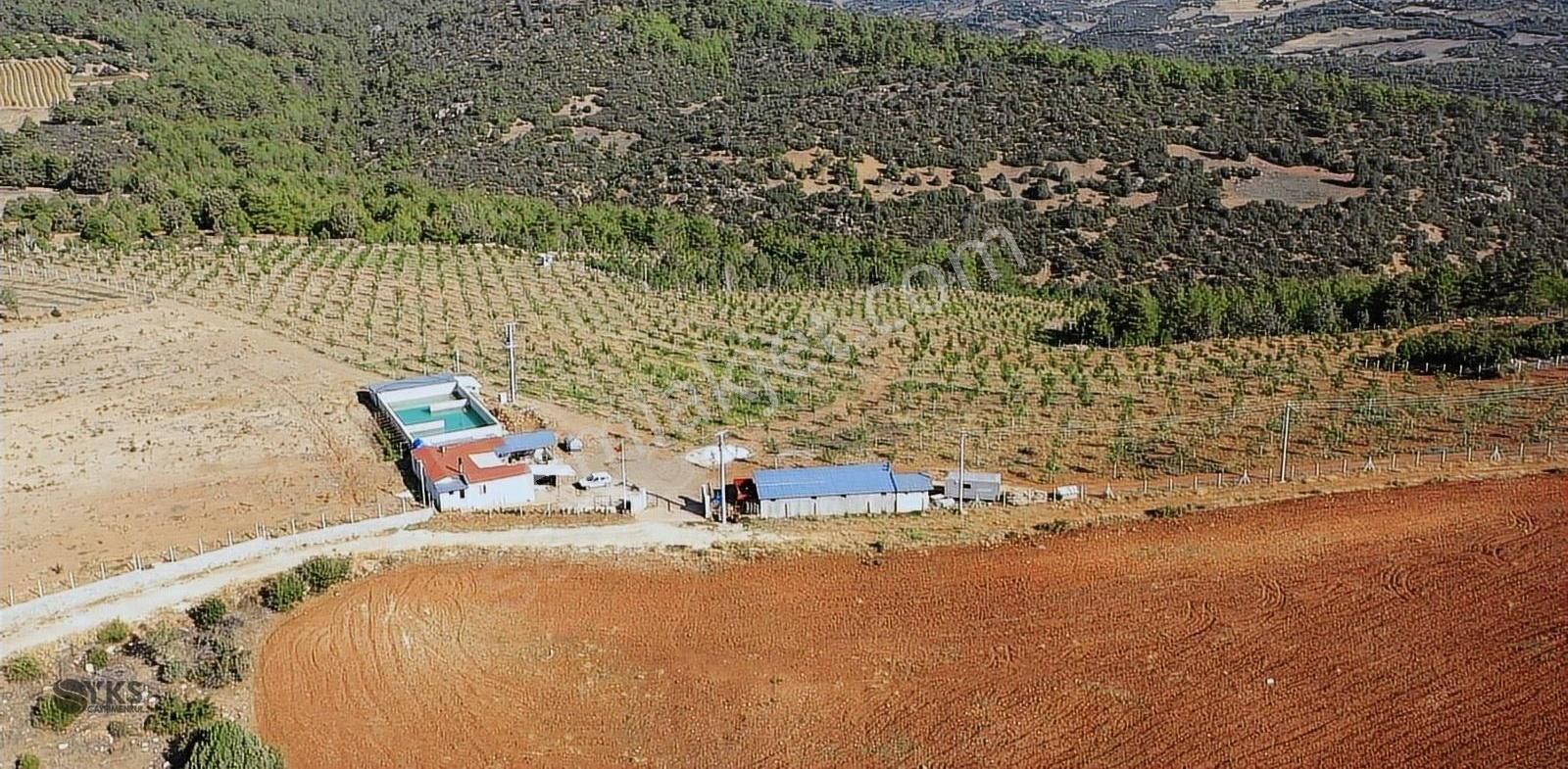 Burdur Merkezde 75 Dönüm Tam Donanımlı Ceviz Bahçesi - Görsel 2