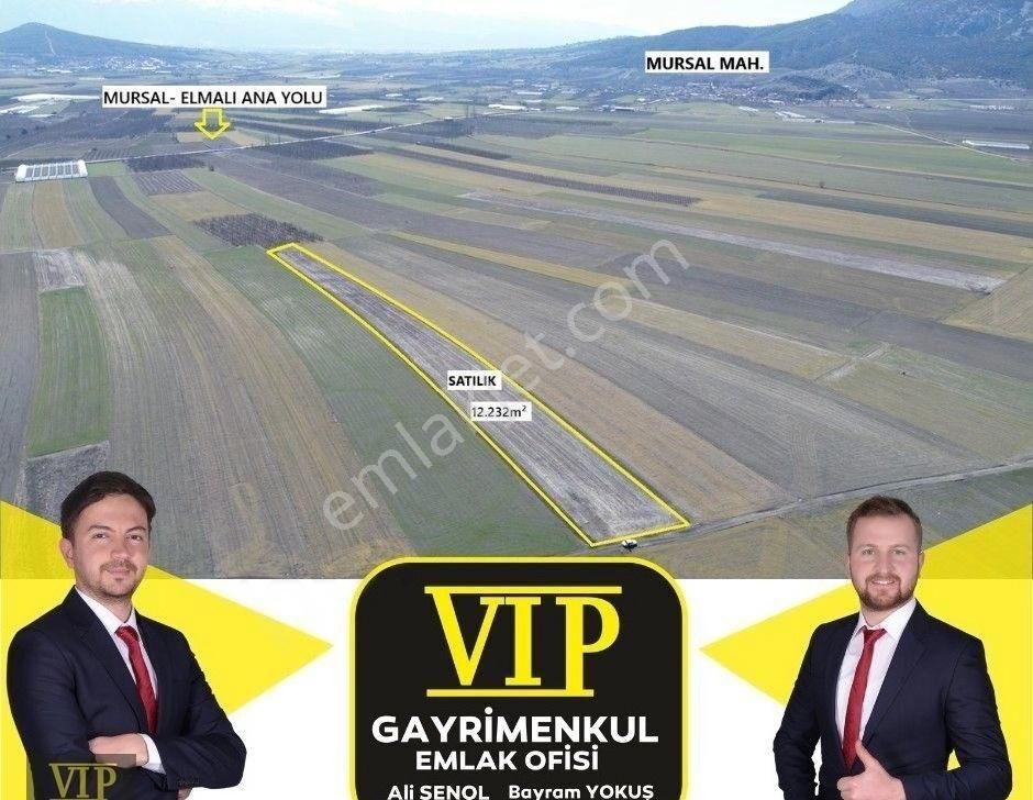 Elmalı Mursal Satılık Tarla Vip Gayrimenkul'den Mursal Mah. 12. 232 M² Sulu Bölgede Tarla