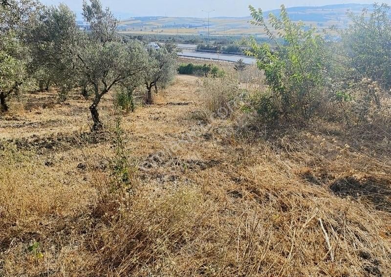 Bursa Nilüfer Büyükbalıklı Mah Satılık Tarla - Görsel 10