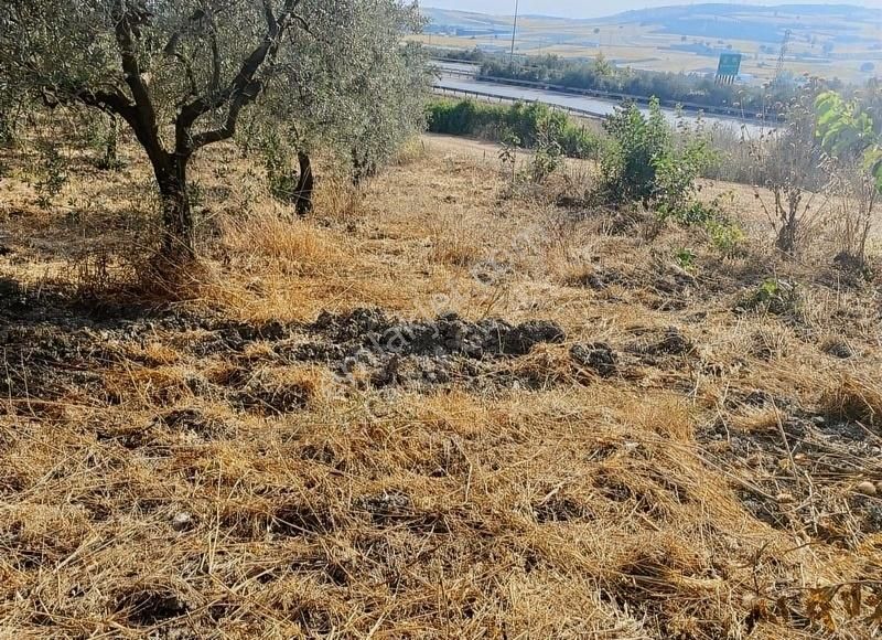 Bursa Nilüfer Büyükbalıklı Mah Satılık Tarla - Görsel 9